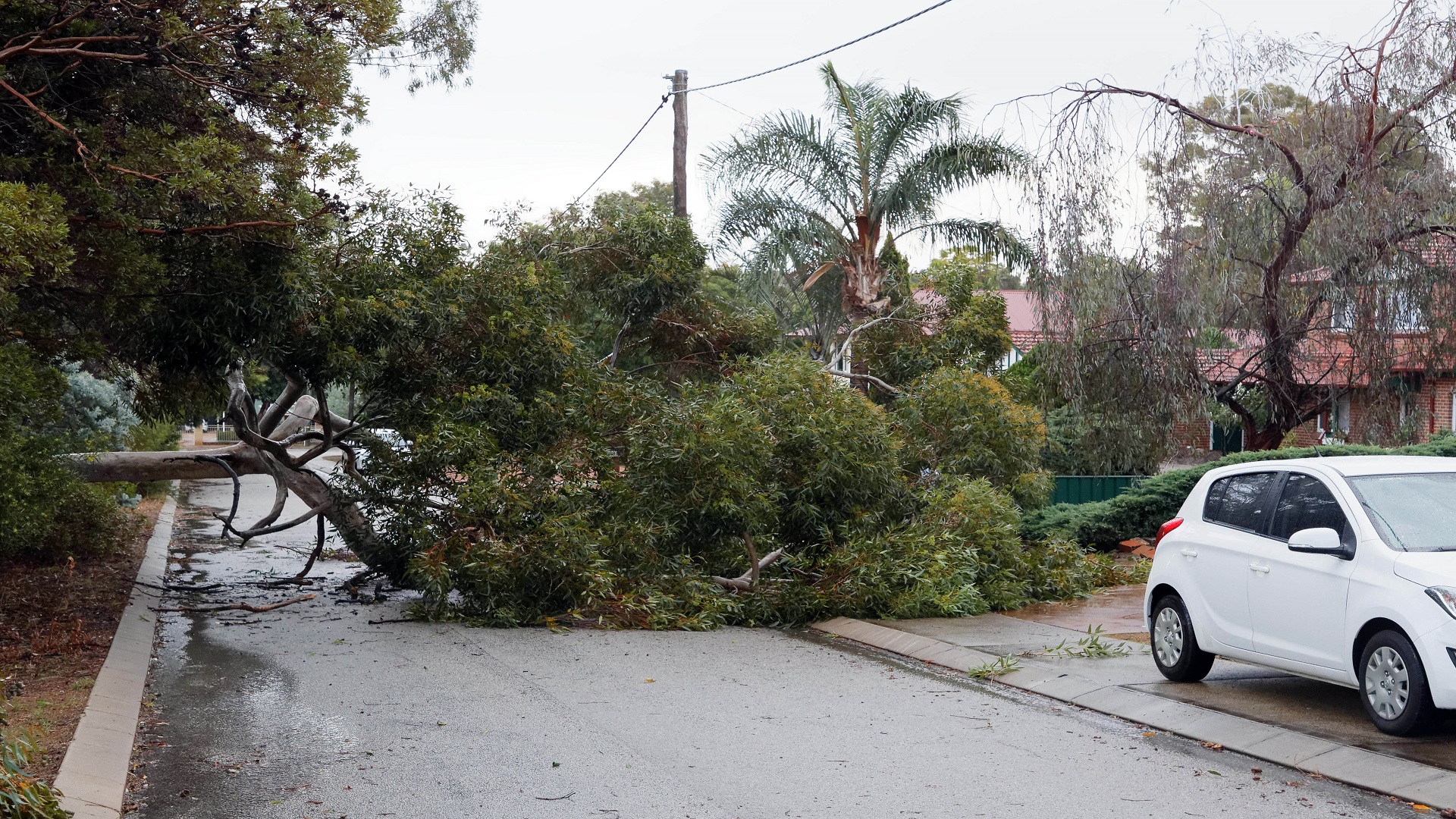 Image for the title: Evacuation centres open as cyclone intensifies off W. Australia 