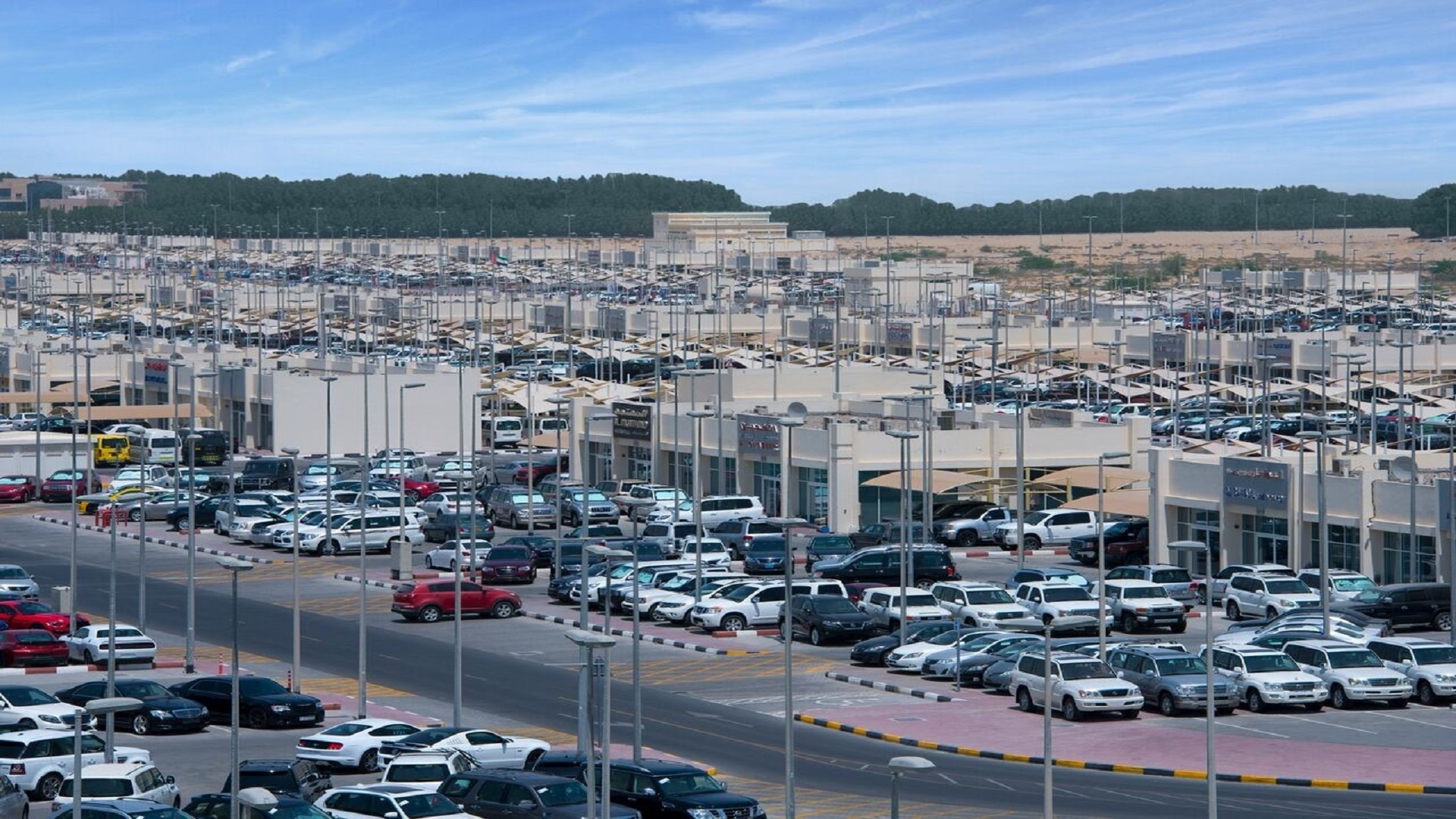 Image for the title: Souq Al Haraj witnesses an active buying movement 