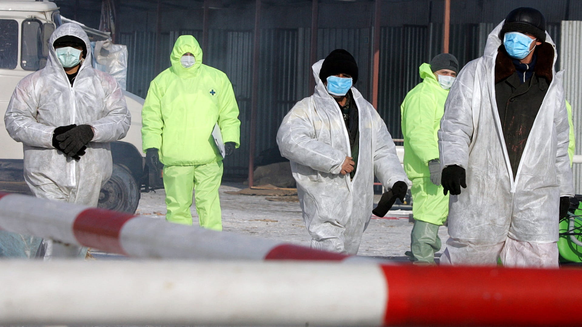 Image for the title: Russia reports world's first case of human infection with birdflu 