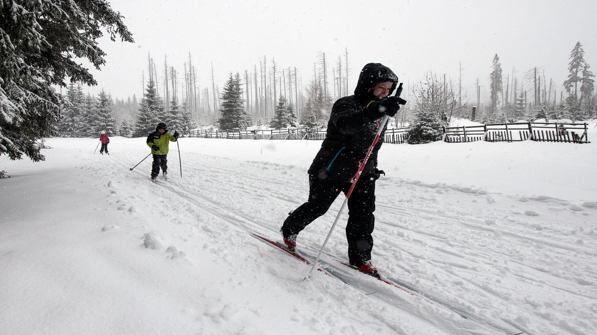 Image for the title: Four skiers killed in US avalanche 