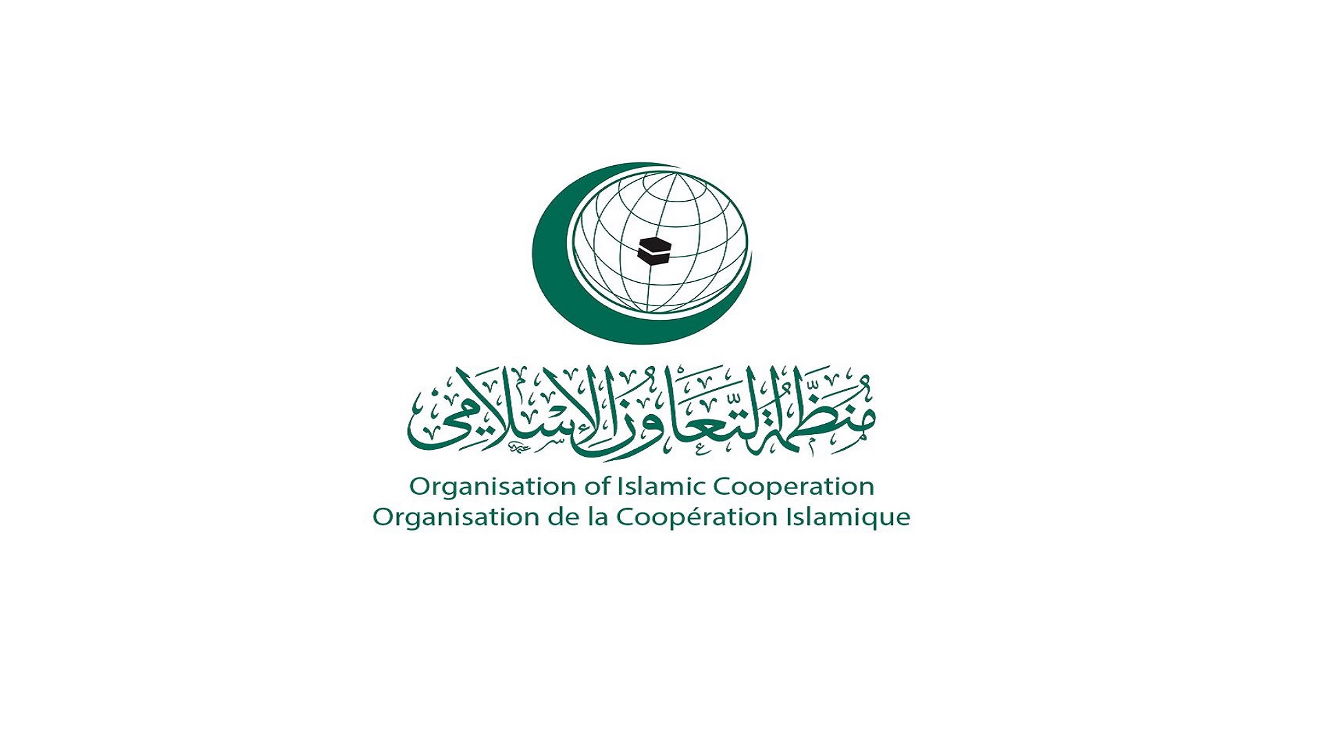 Image for the title: OIC denounces Houthi drones targeting Saudi Arabia 