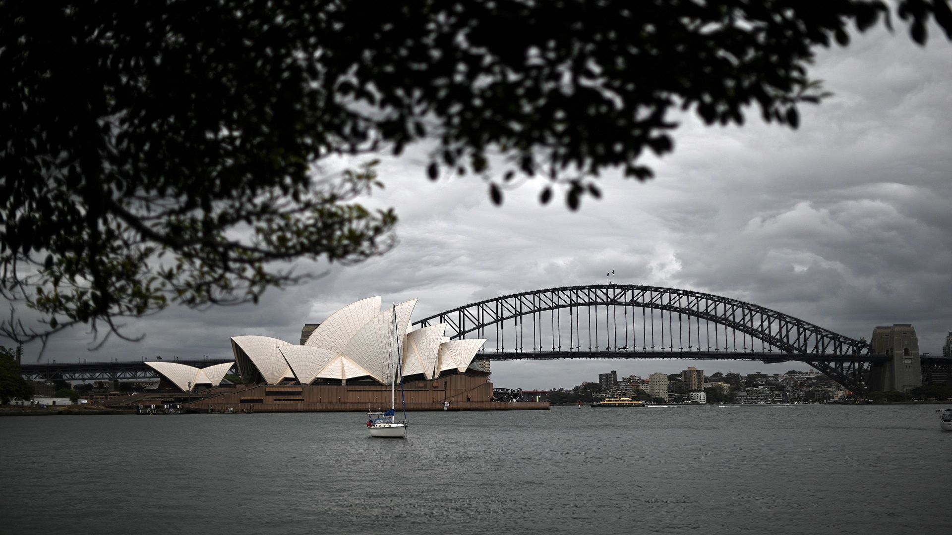 Image for the title: Three Australian cities told to get COVID tests and isolate 