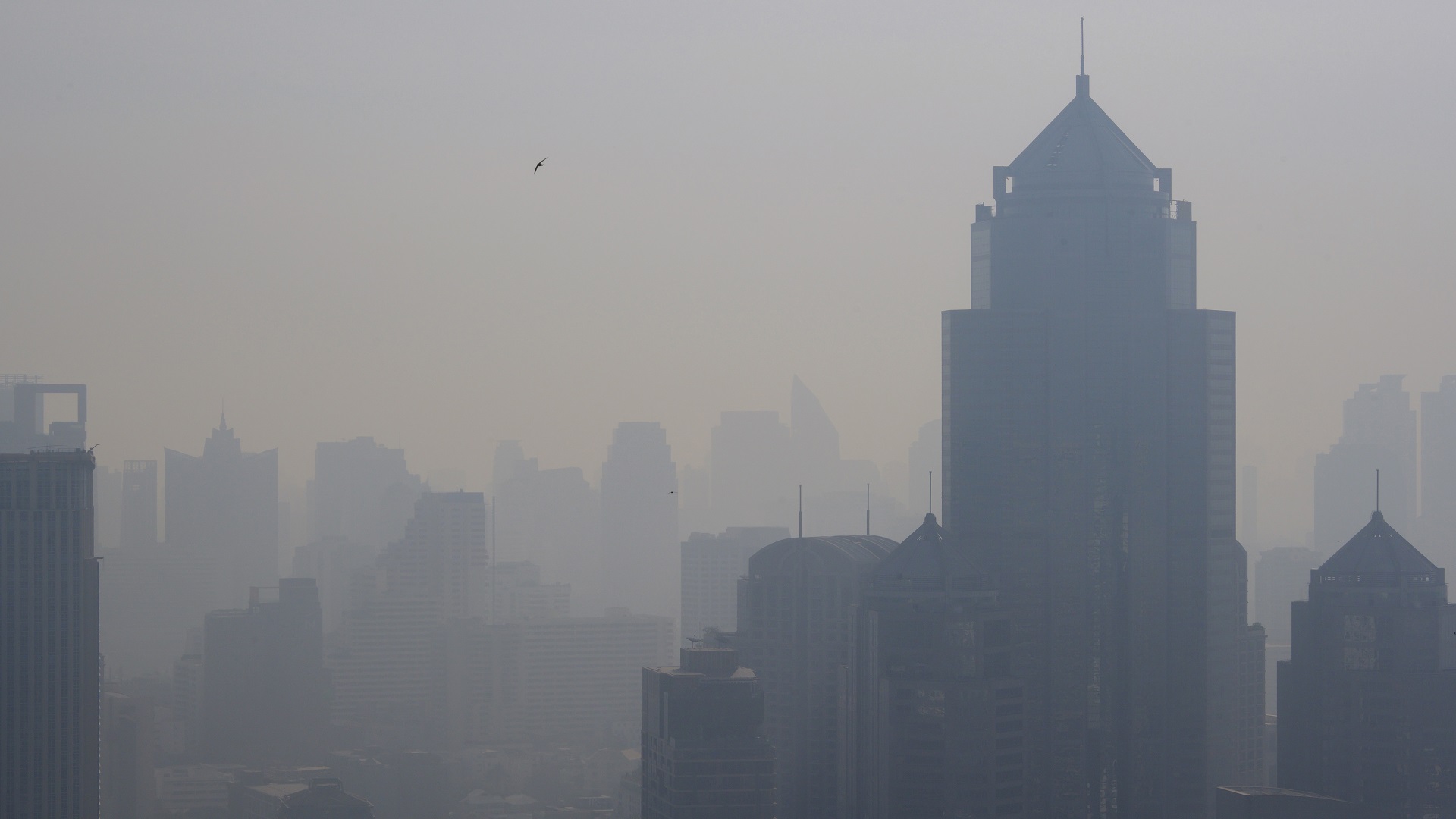 Image for the title: Air pollution clouds Bangkok as 'dust dome' forms over city 