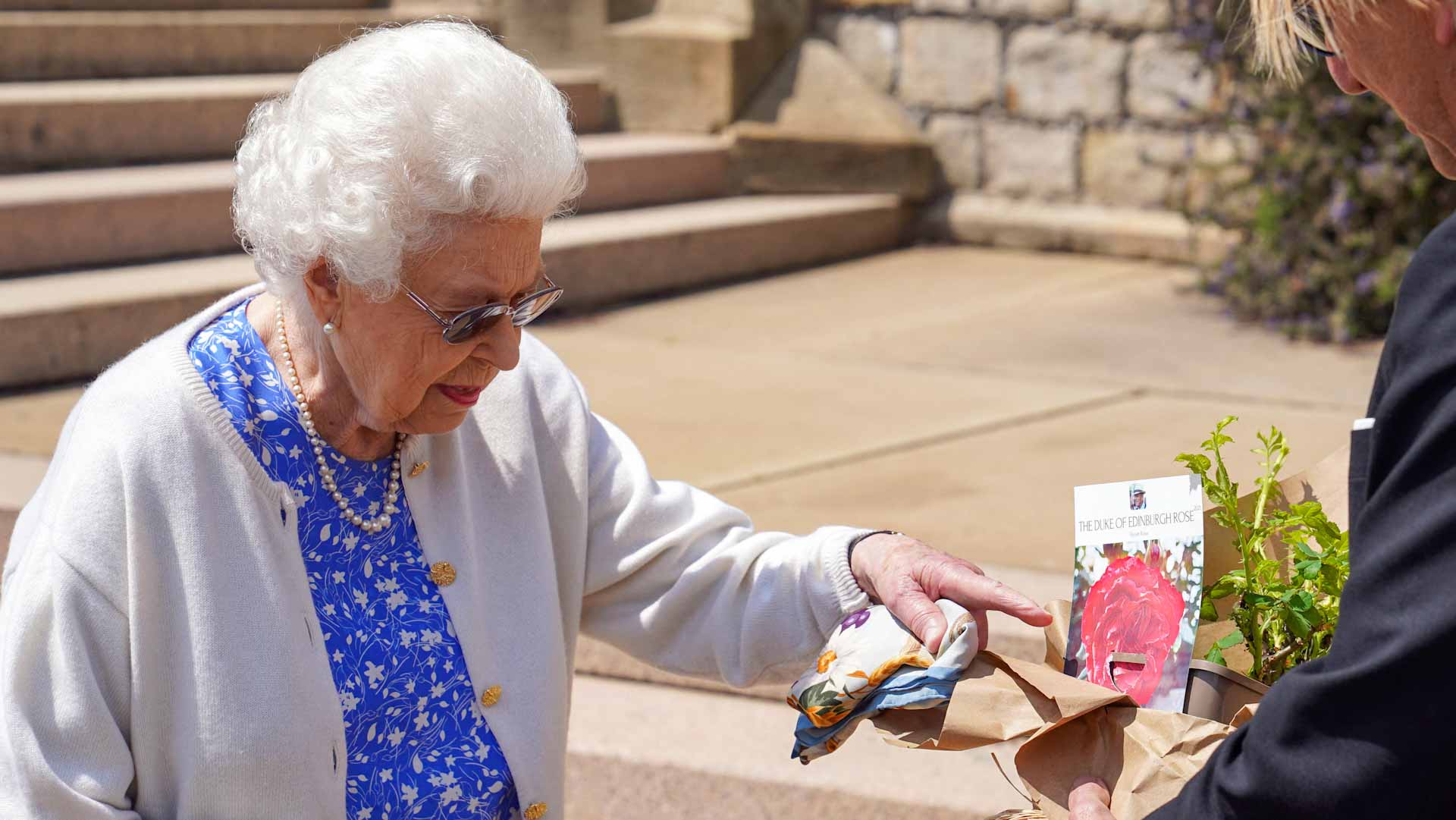 Image for the title: UK's Queen Elizabeth gifted rose named after late husband Philip 