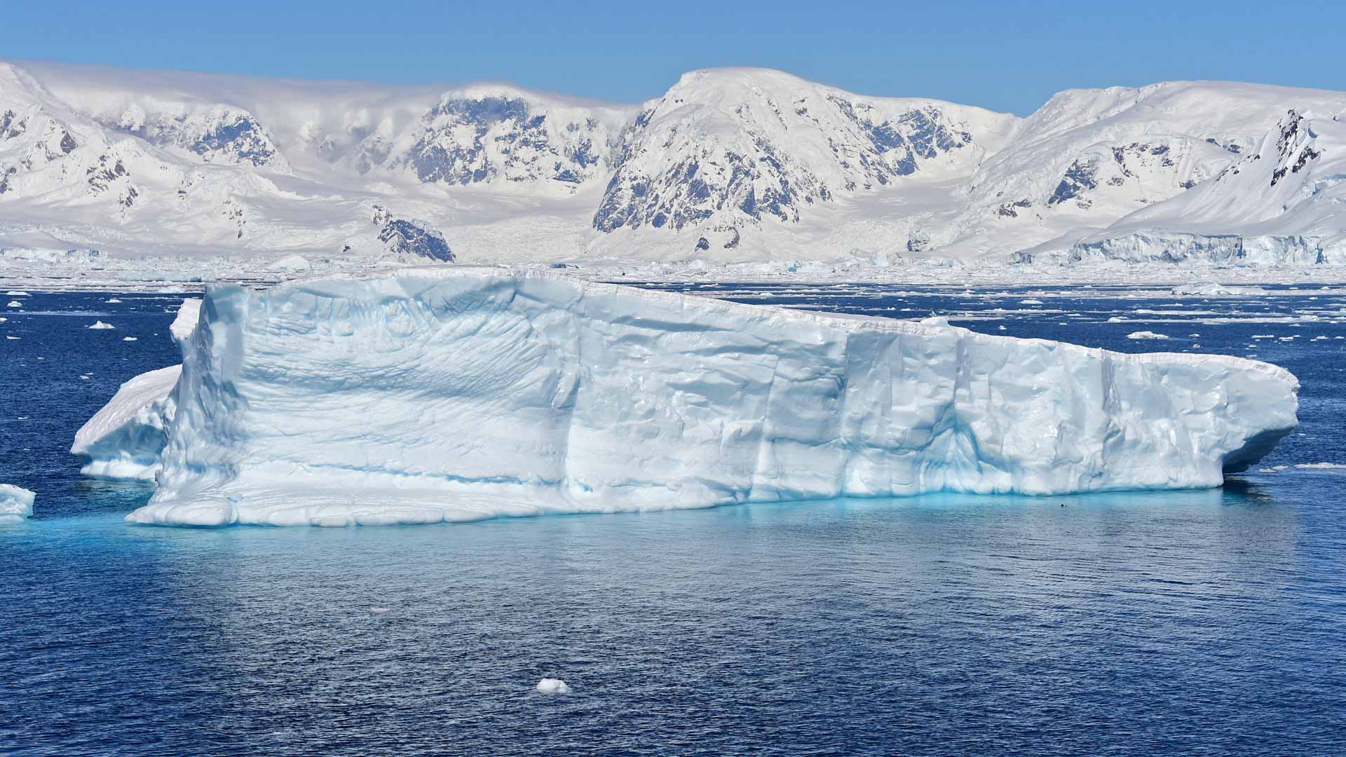 Image for the title: Pacific islanders likely found Antarctica first: study 