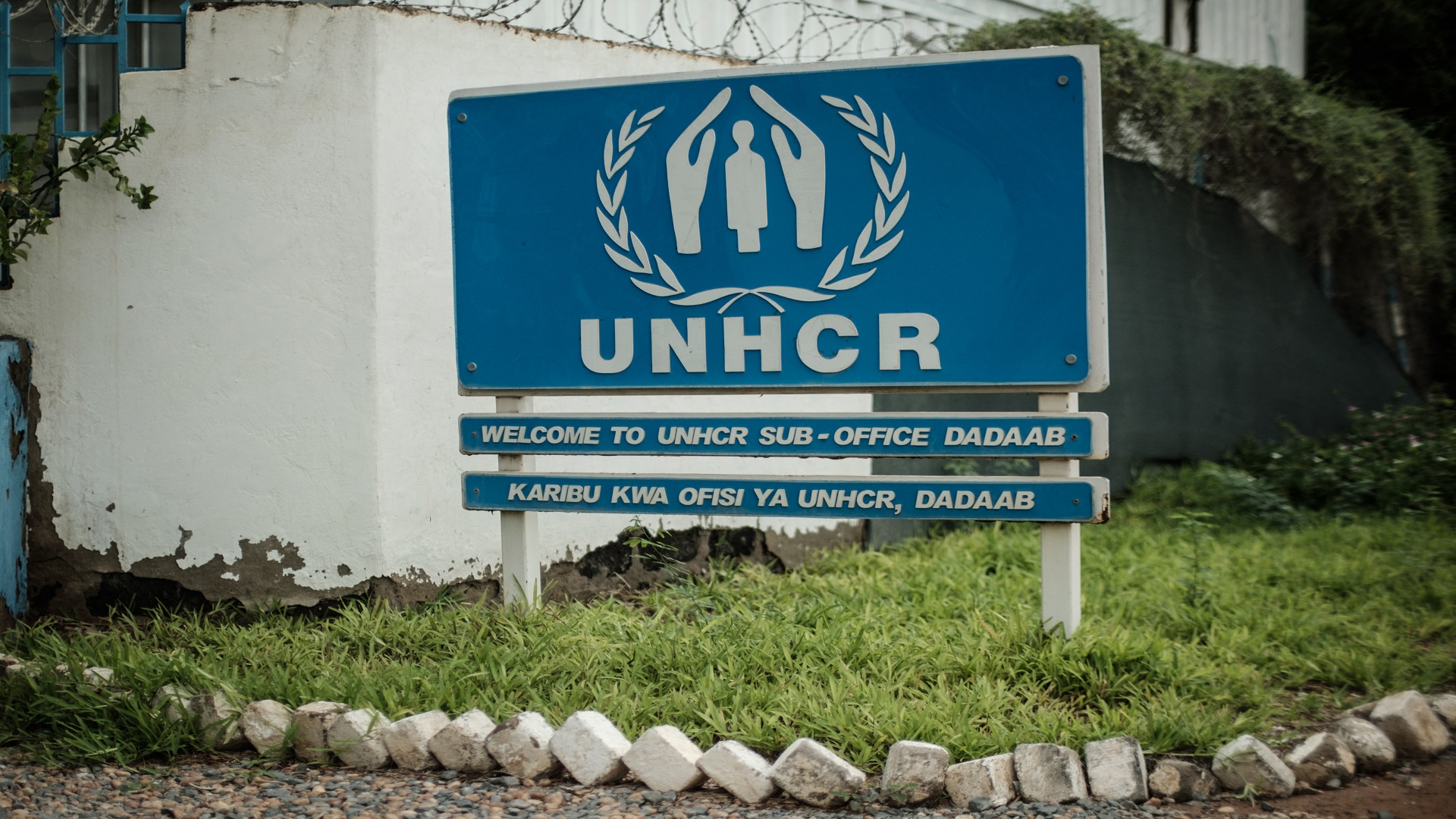 Image for the title: UNHCR calls on world to tackle soaring displacement 