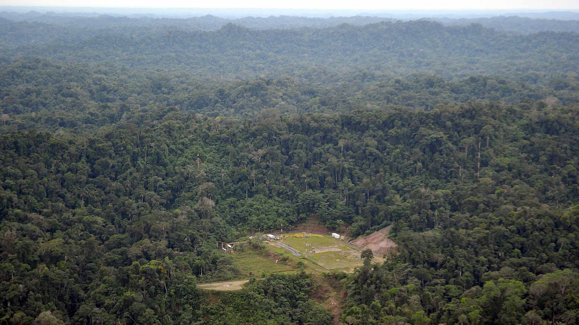 Image for the title: Amazon plant contributes significant greenhouse emissions: study 