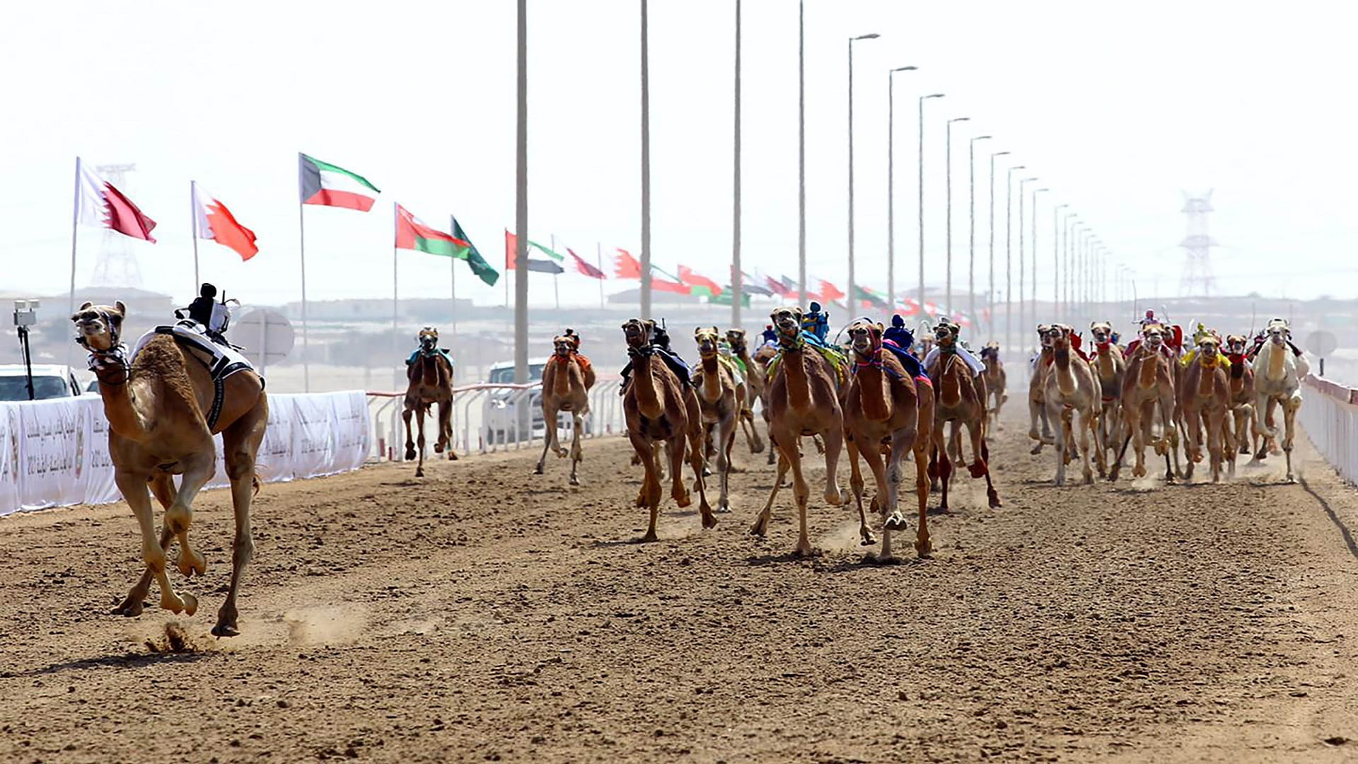 صورة بعنوان: سلطان بن حمدان يشهد انطلاقة منافسات ختام مهرجان سباقات الهجن  