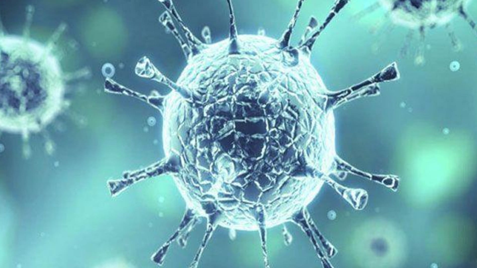 Image for the title: Worldwide coronavirus cases cross 125 million 