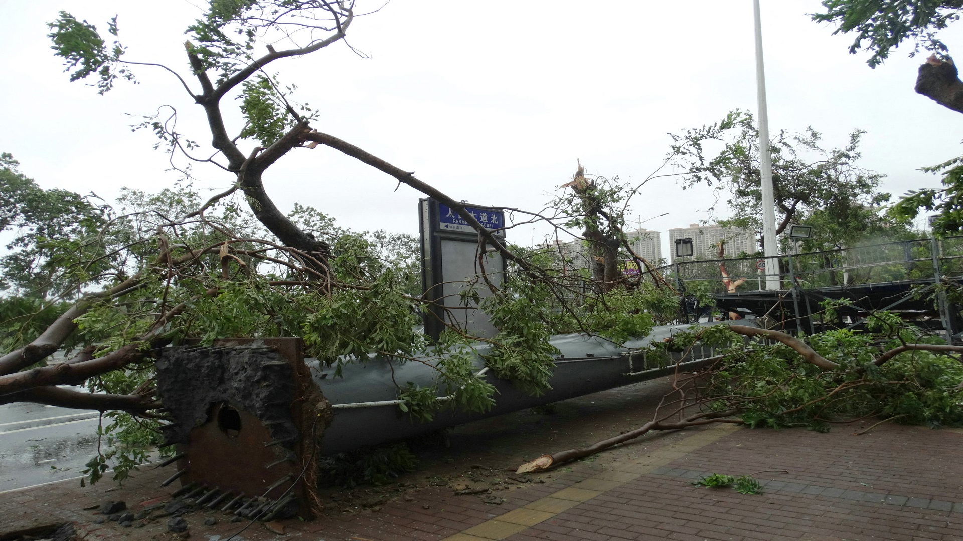 Image for the title: Two tornadoes strike China, killing at least 10 