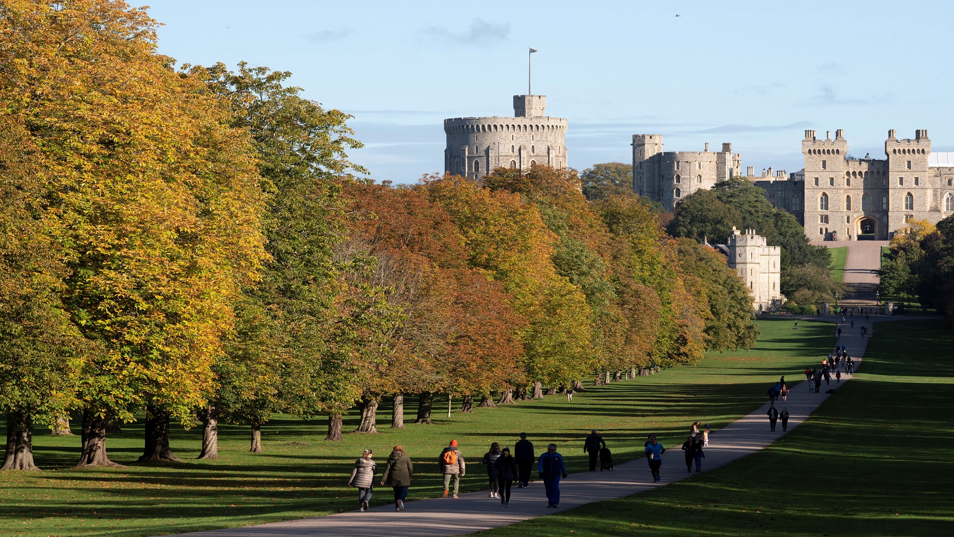 Image for the title: Britain to treble tree planting by 2024 to fight climate change 