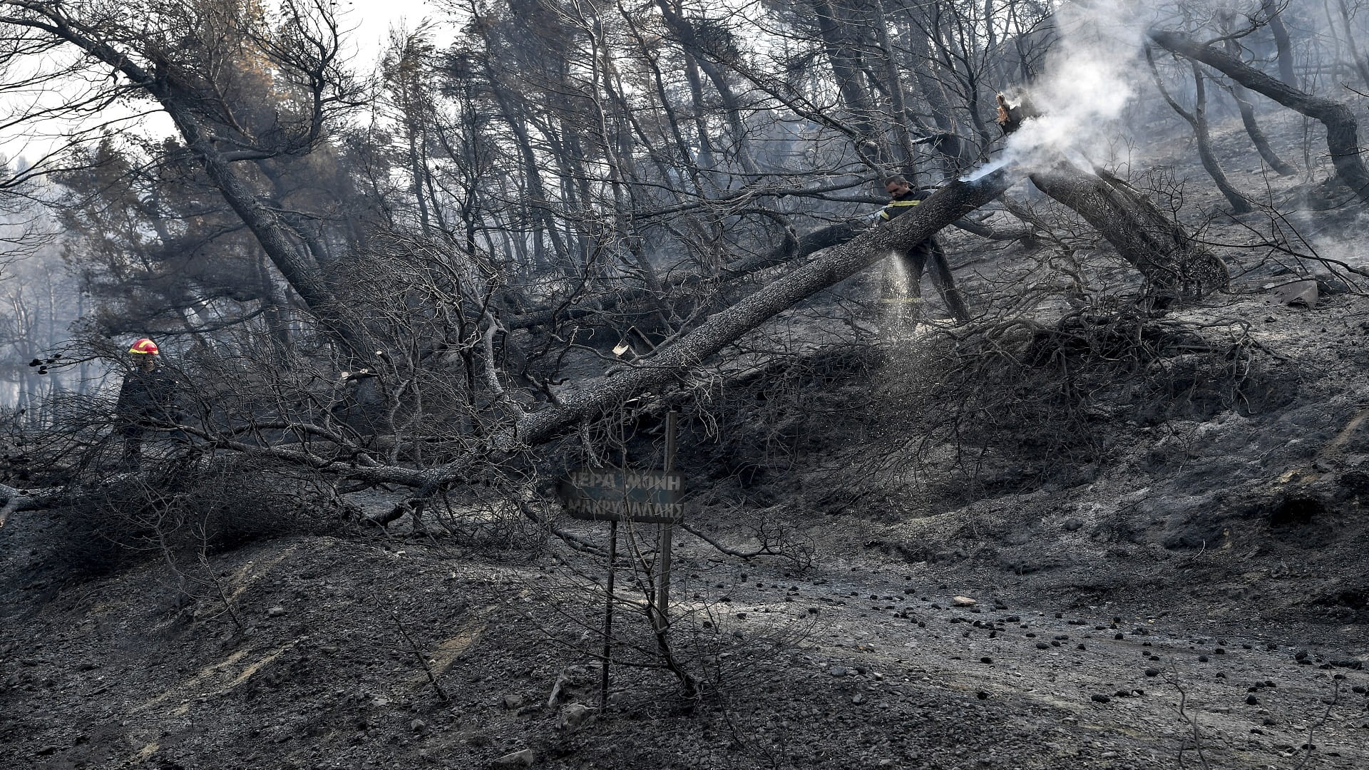 Image for the title: Greek firefighters hopeful of containing forest blaze 