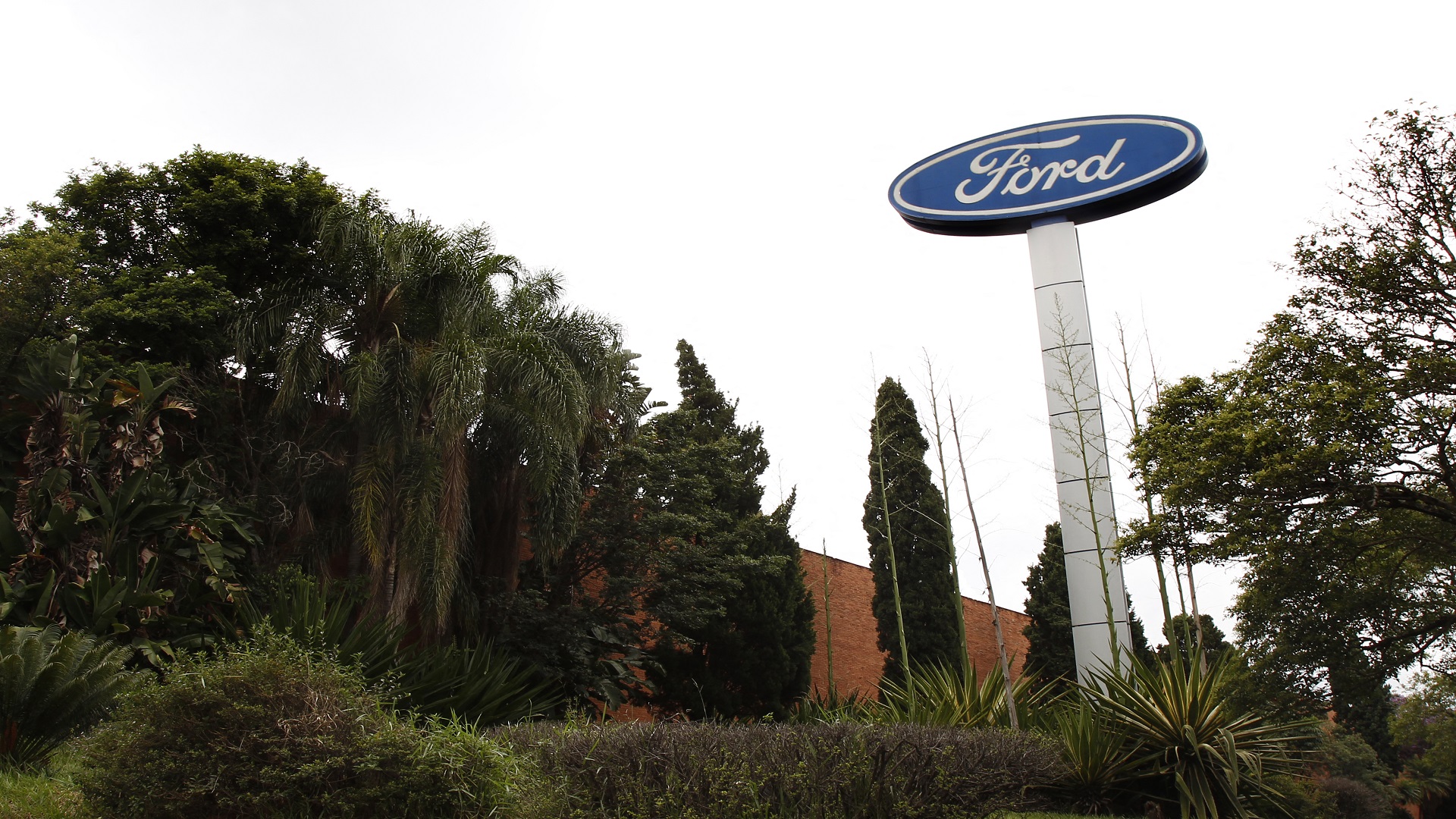 Image for the title: Ford says 40% of sales to be electric vehicles by 2030 