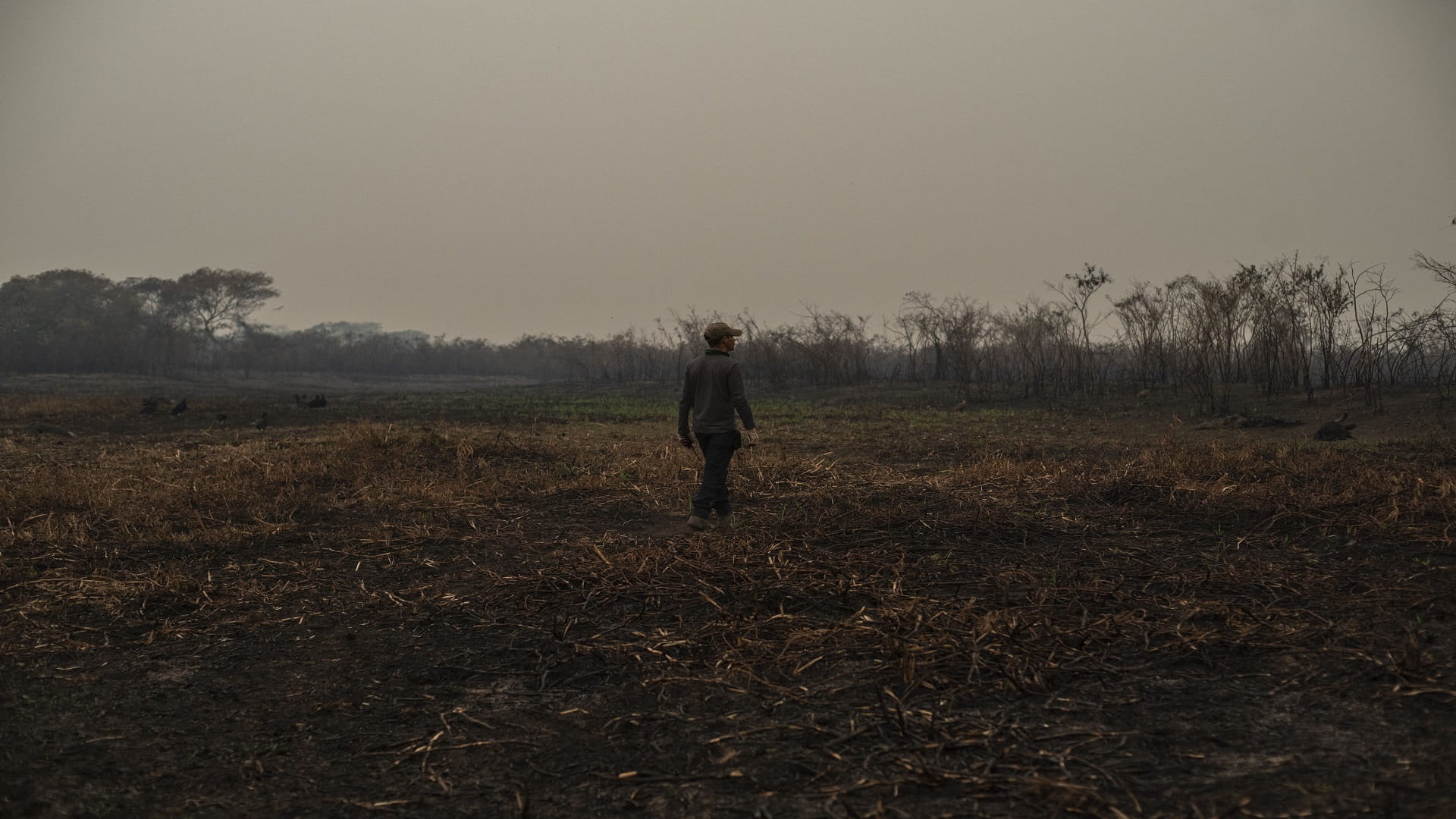 Image for the title: Brazil on drought alert, faces worst dry spell in 91 years 