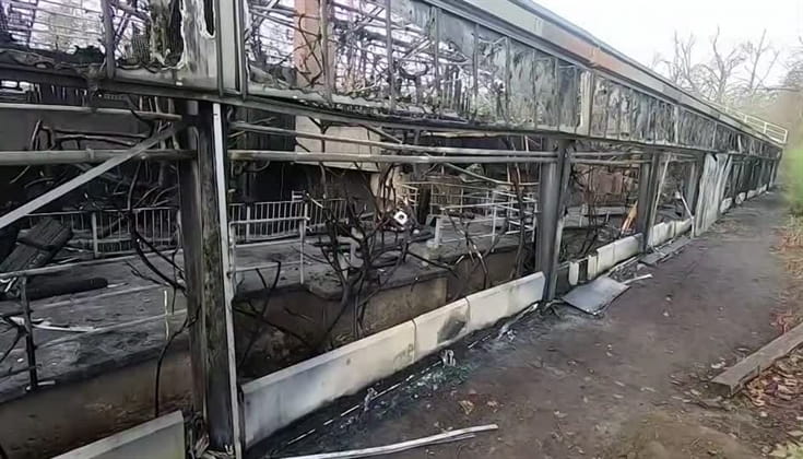 fire-at-german-zoo-kills-scores-of-animals-in-monkey-house-1