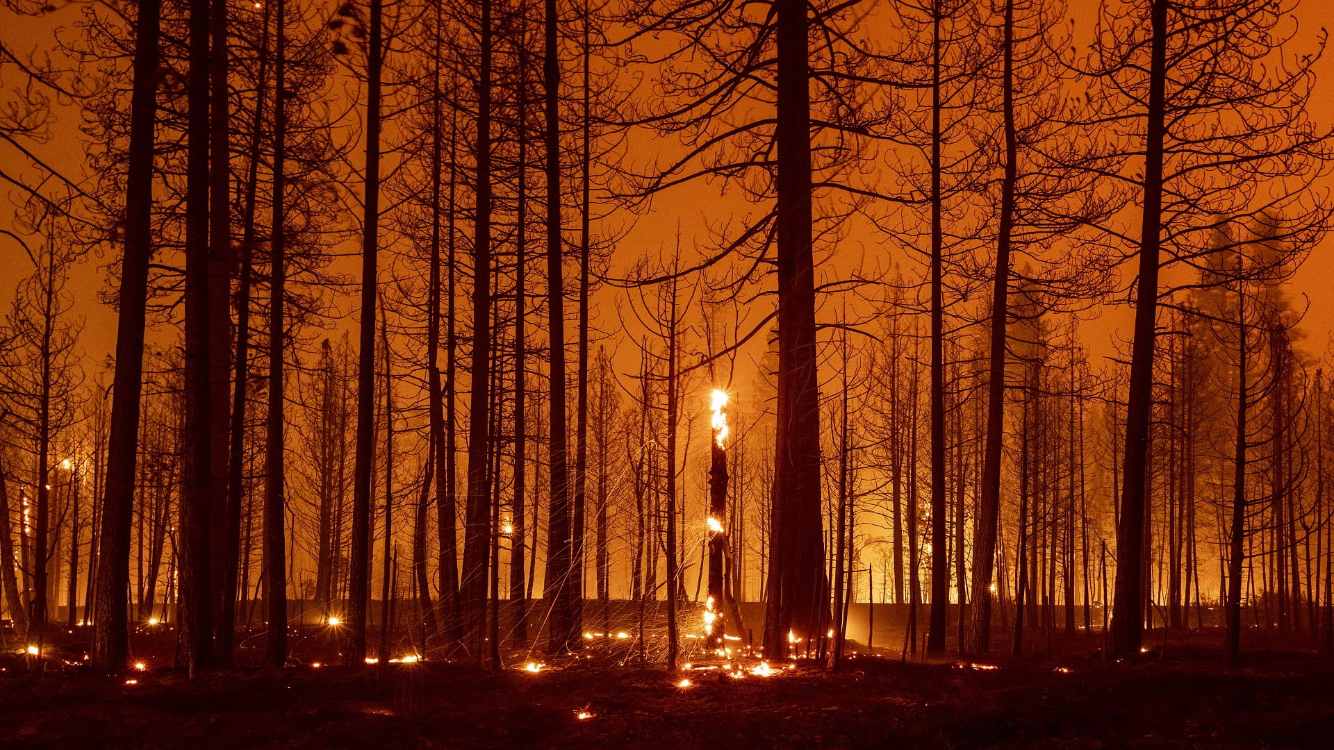 Image for the title: Wildfire explodes to third-largest in California history 