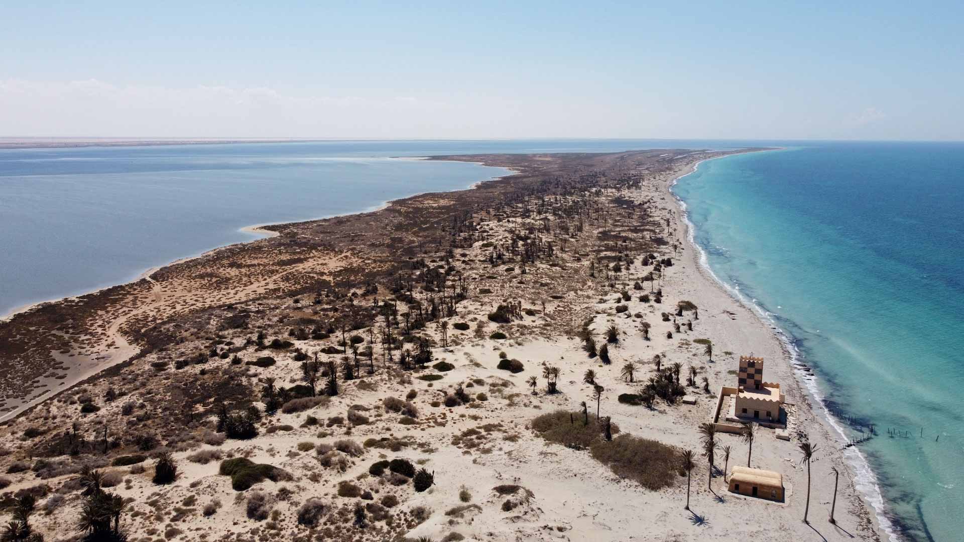 Image for the title: Libya's wildlife treasure island at risk of ruin 