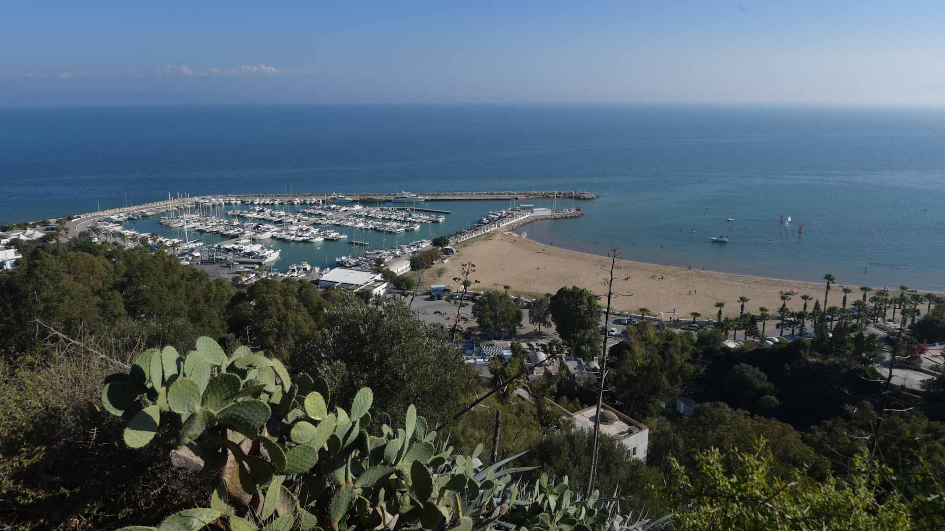 Image for the title: Tunisia swelters in record temperatures 