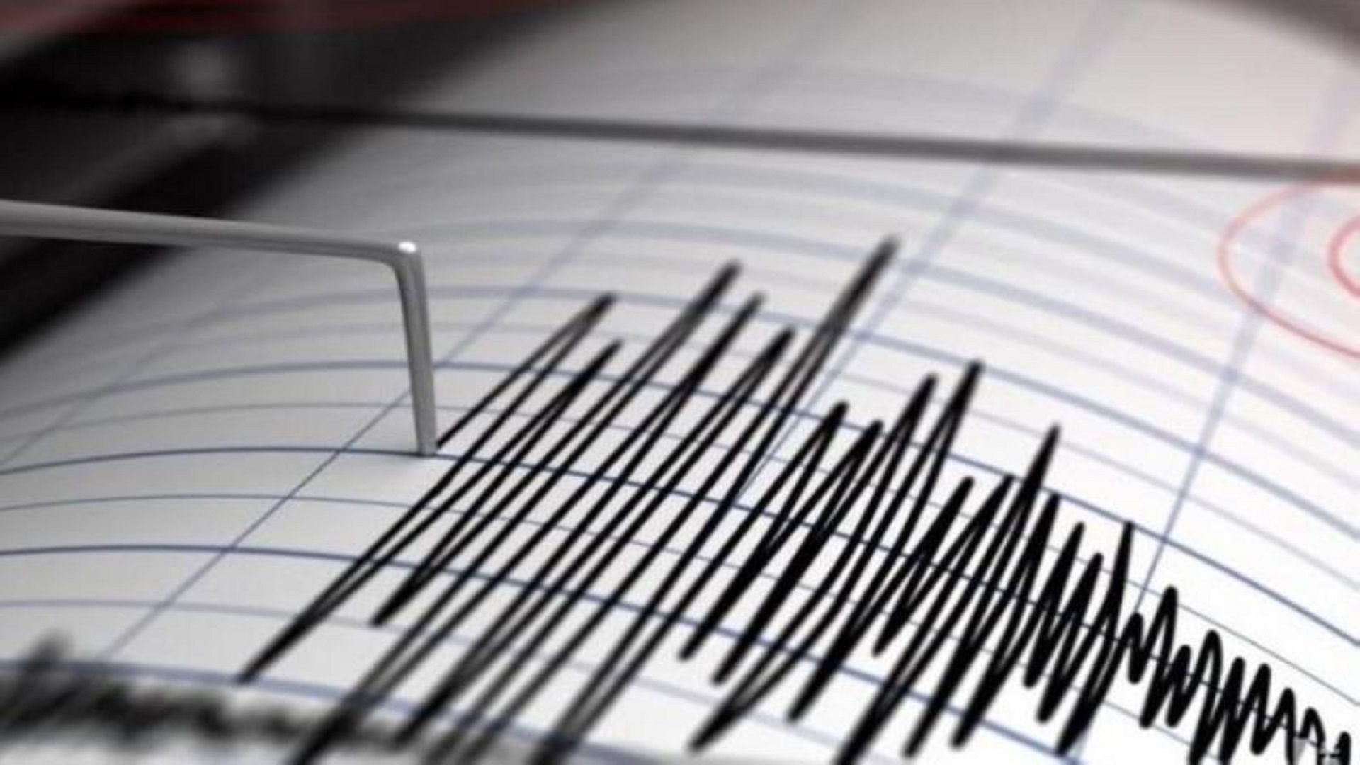 صورة بعنوان: زلزال بقوة 7 درجات يضرب ساحل هاييتي 