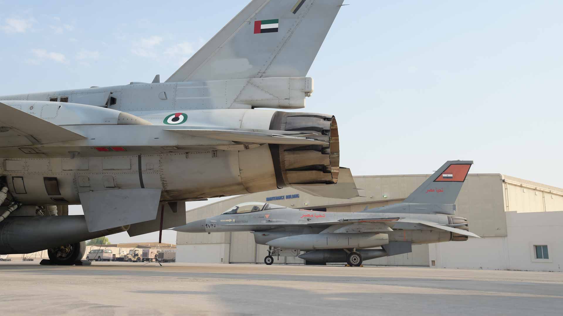 Image for the title: UAE, Egypt conclude 'Zayed 3' military exercise 