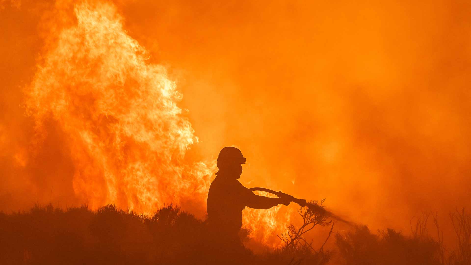 Image for the title: Spain sizzles in crushing heat as fires blaze 