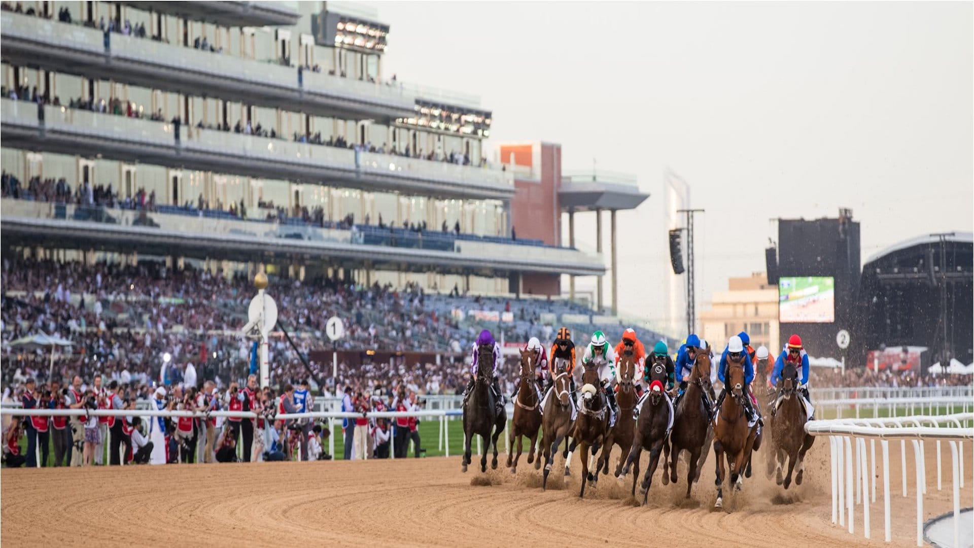 صورة بعنوان: نادي دبي لسباقات الخيل ينظم مزاد كأس "بريز أب" العالمي 