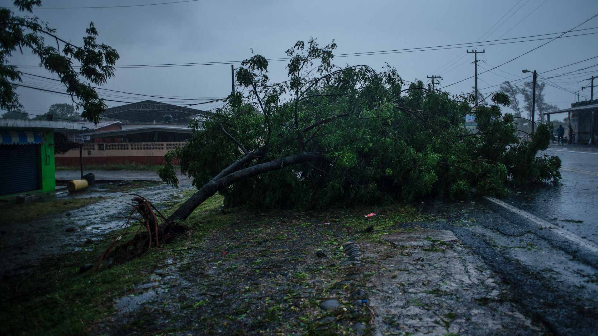 Image for the title: Hurricane Grace kills 8 including children in Mexico 