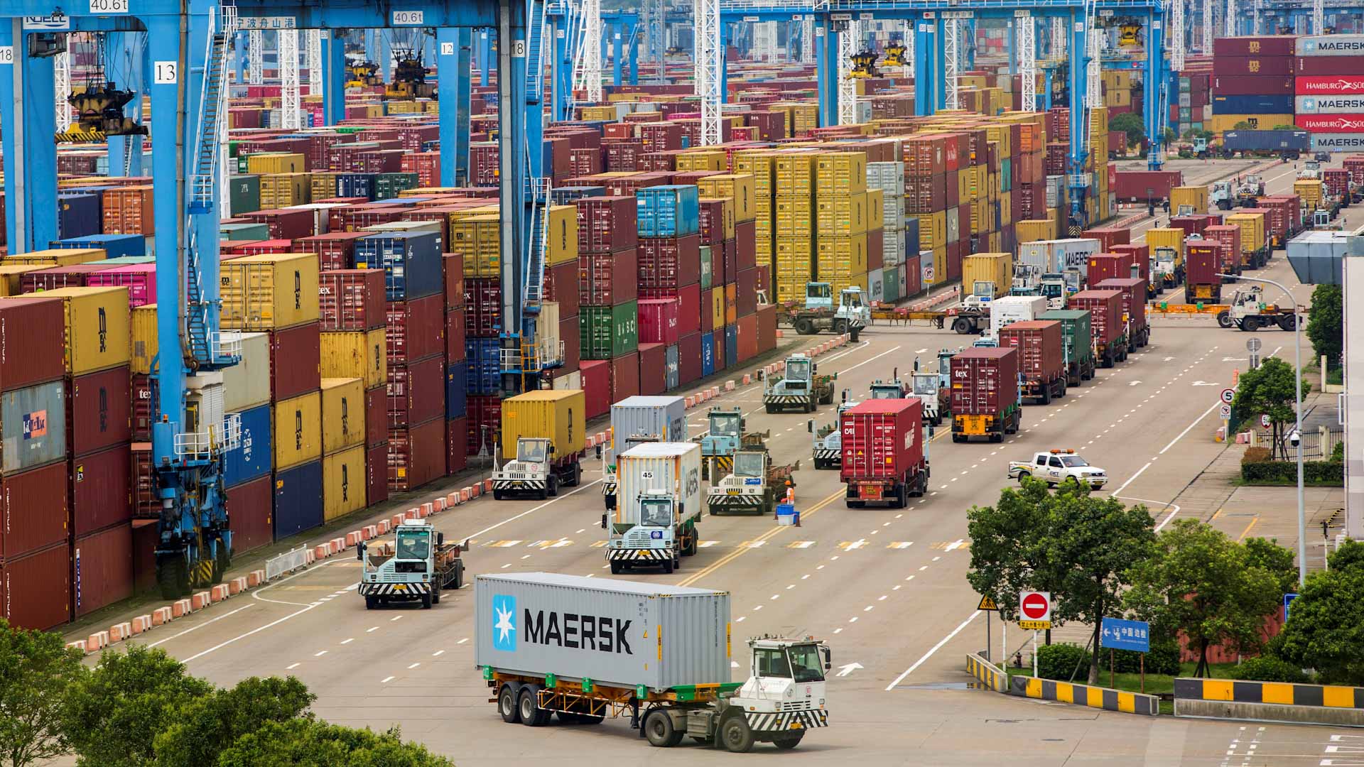 Image for the title: China reopens world's third busiest port after partial virus halt 