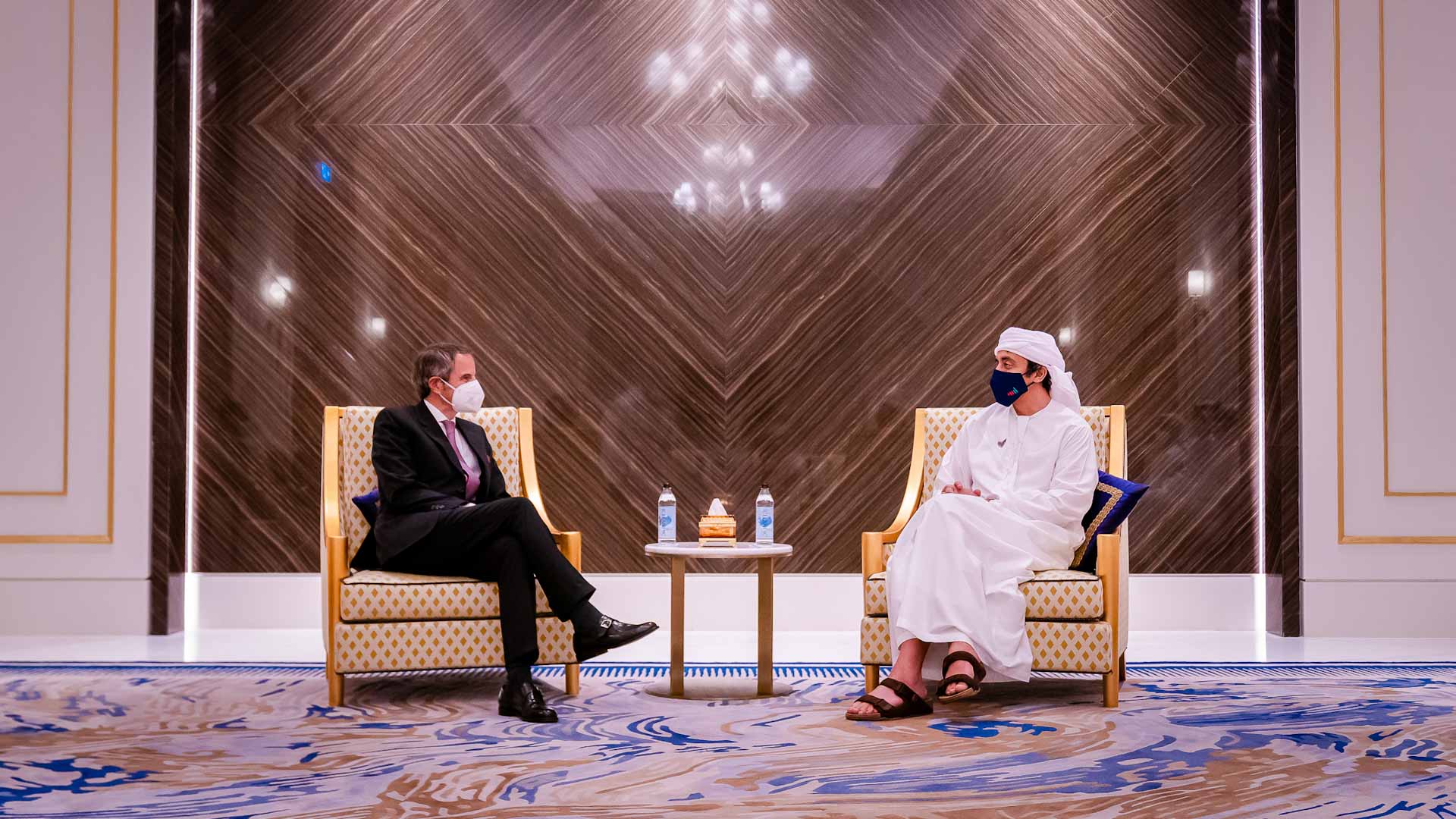 Image for the title: Abdullah bin Zayed, IAEA Director-General discuss cooperation 