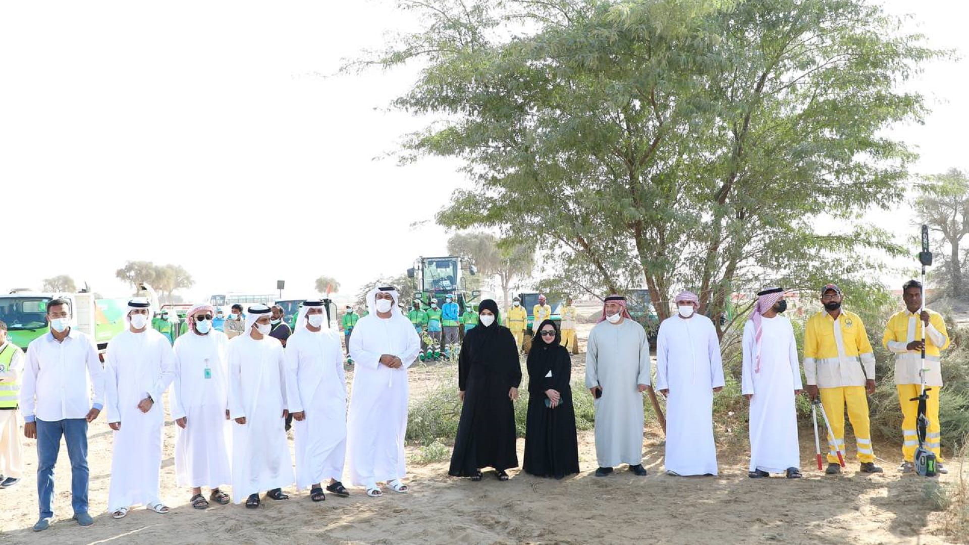 Image for the title: Extensive campaign to remove ‘Ghwaif’ trees from Al Bataeh 