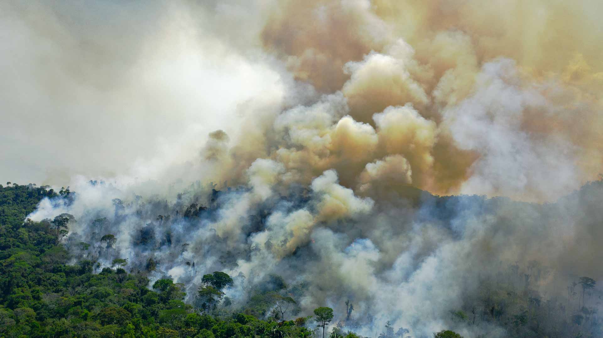 Image for the title: Worst June for Brazil Amazon forest fires since 2007: data 