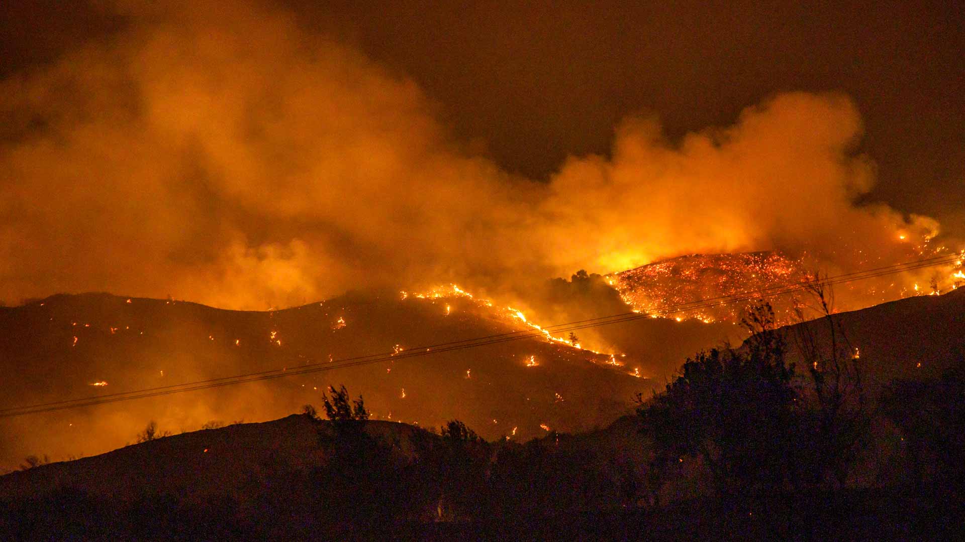 Image for the title: Cyprus says huge forest fire 'under full control' 