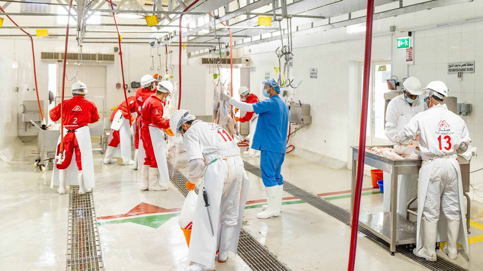صورة بعنوان: بلدية الظفرة تعلن جاهزية المسالخ لاستقبال عيد الأضحى المبارك 