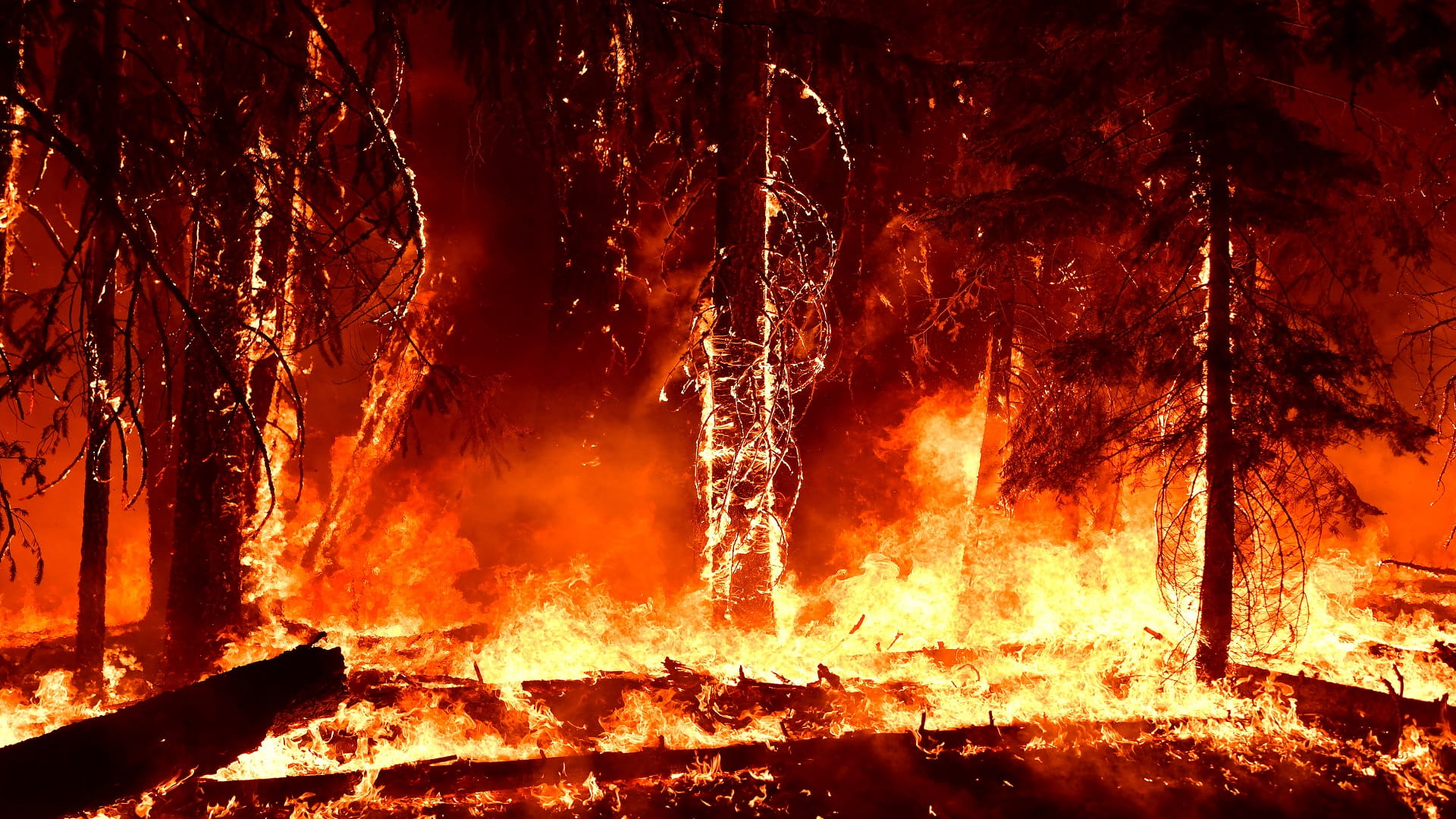Image for the title: Evacuations ordered after two California wildfires  