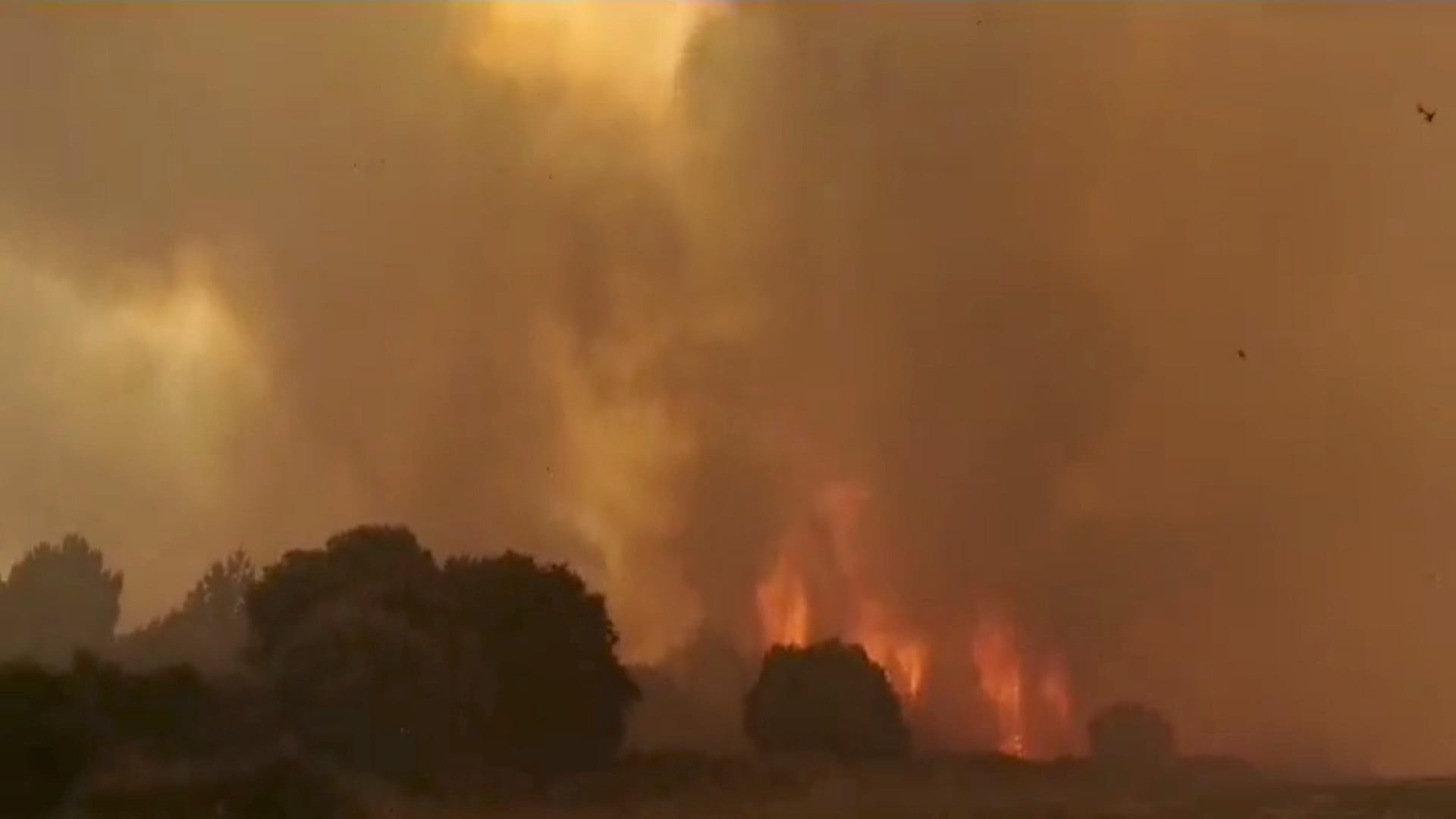 Image for the title: EU sends four fire-fighting planes to tame Sardinia fires 