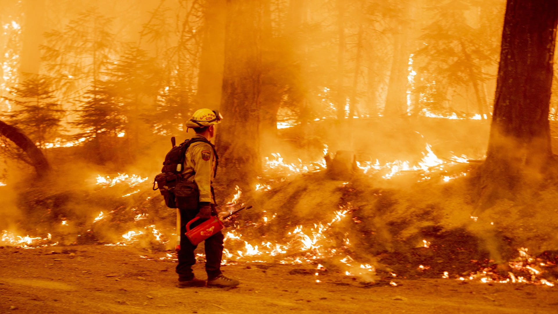 Image for the title: Firefighters battle California blaze generating its own weather 