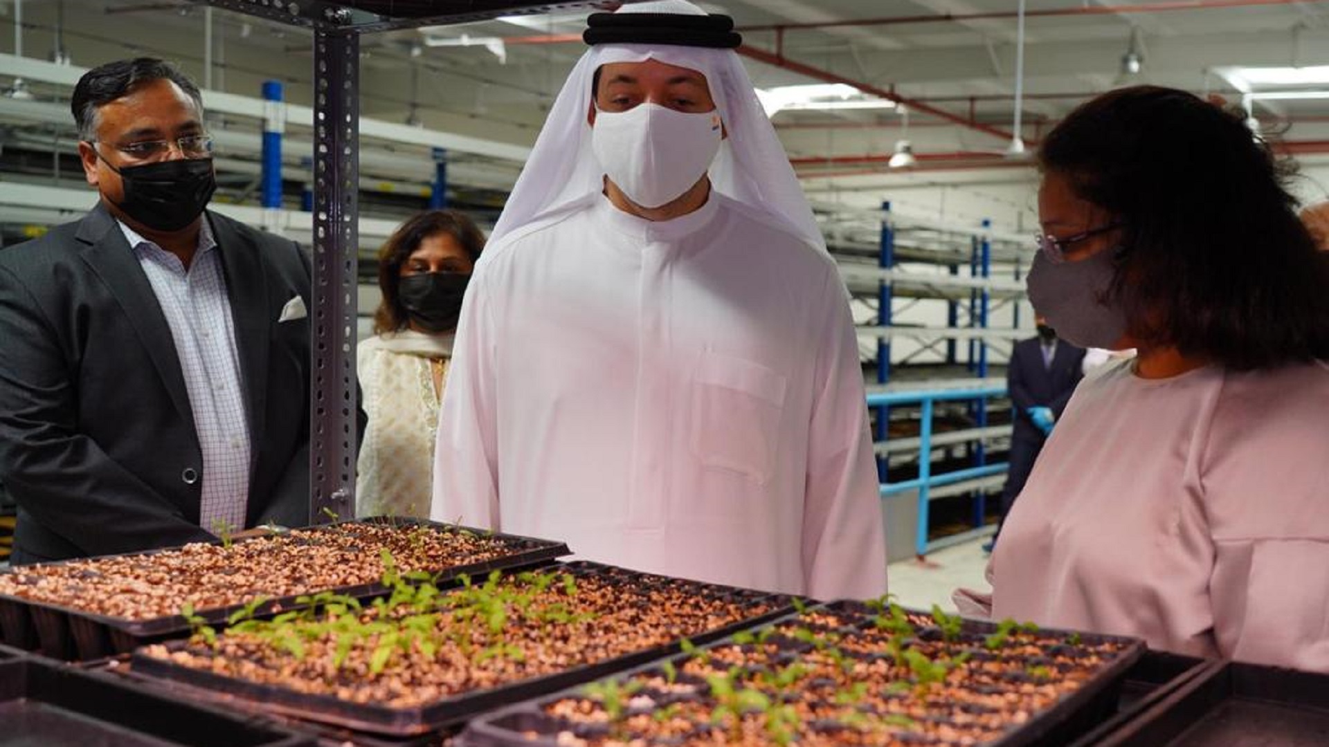 Image for the title: Al Aliyo HydroFarms embarks on hydroponic fodder project in HFZ 