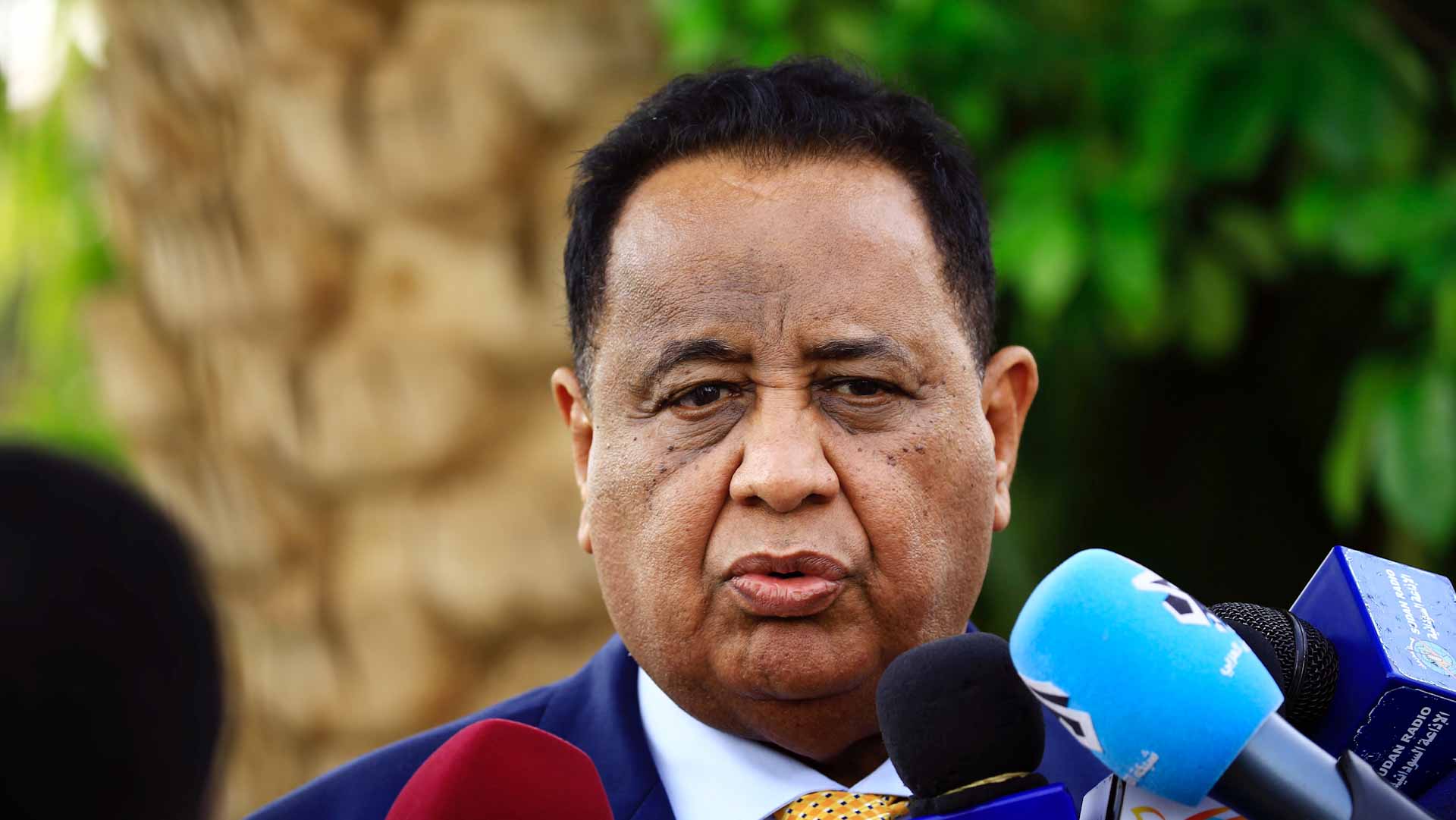 Image for the title: Sudanese ex-ruling party head Ghandour re-arrested 