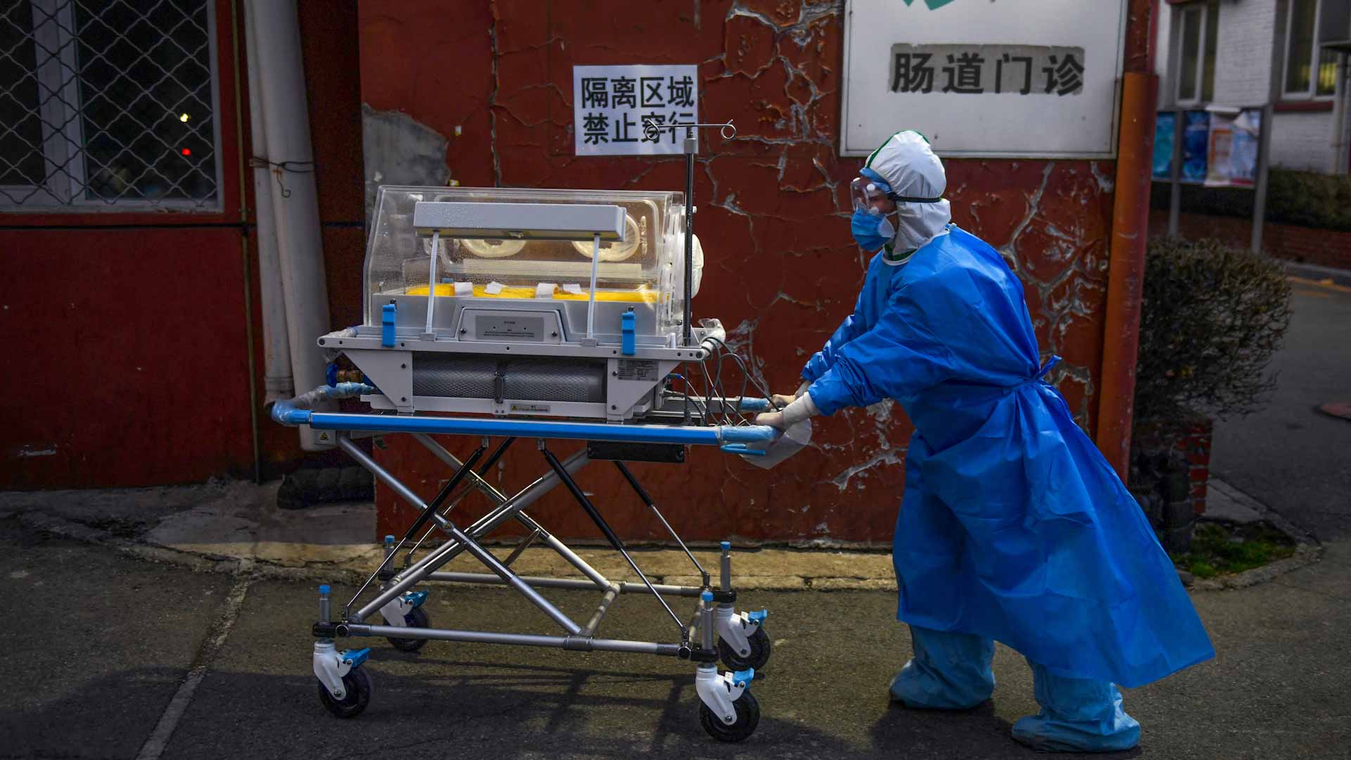 Image for the title: China study warns of 'colossal' COVID outbreak 