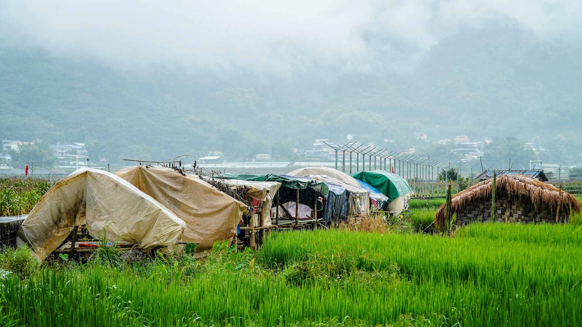 Image for the title: Two Myanmar-China border crossings re-open for trade 
