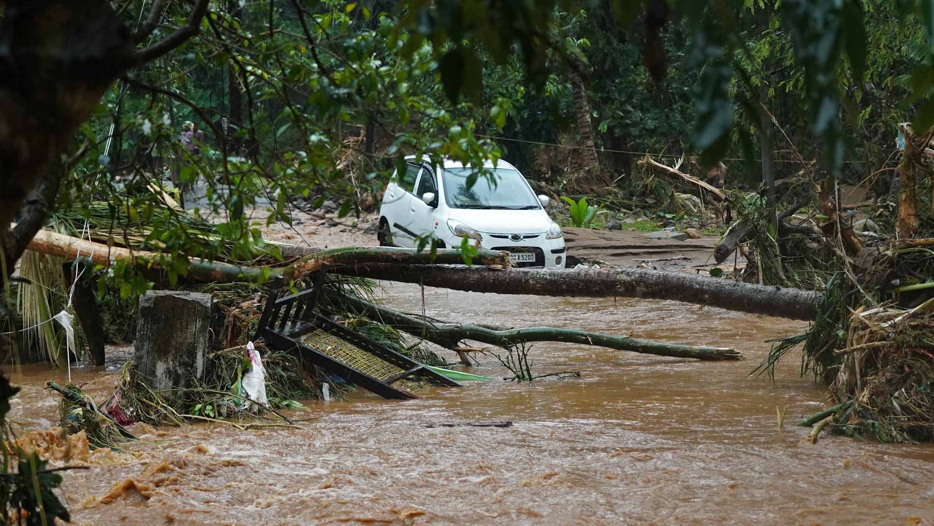 Image for the title: At least 34 dead after floods in north India 