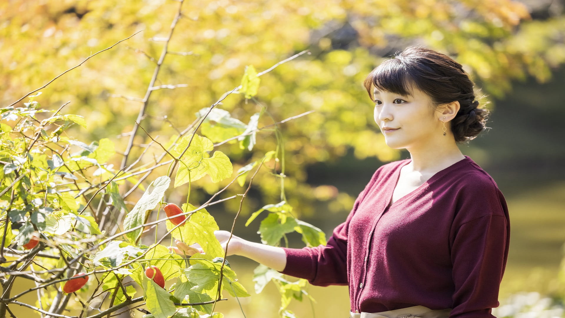 Image for the title: Japan's Princess Mako celebrates 30th birthday ahead of marriage 