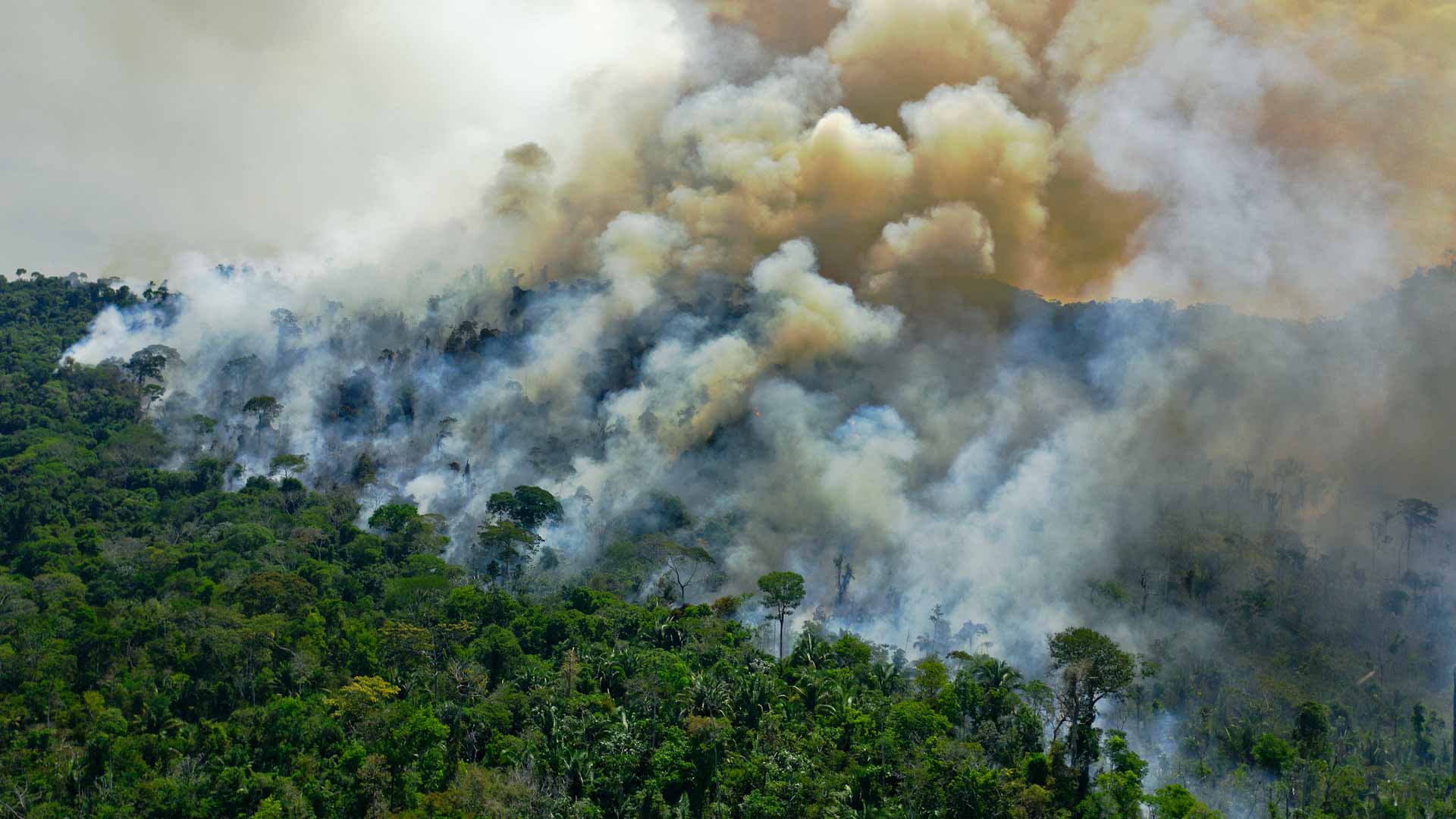 Image for the title: Brazil emissions rose in 2020 despite pandemic: study 