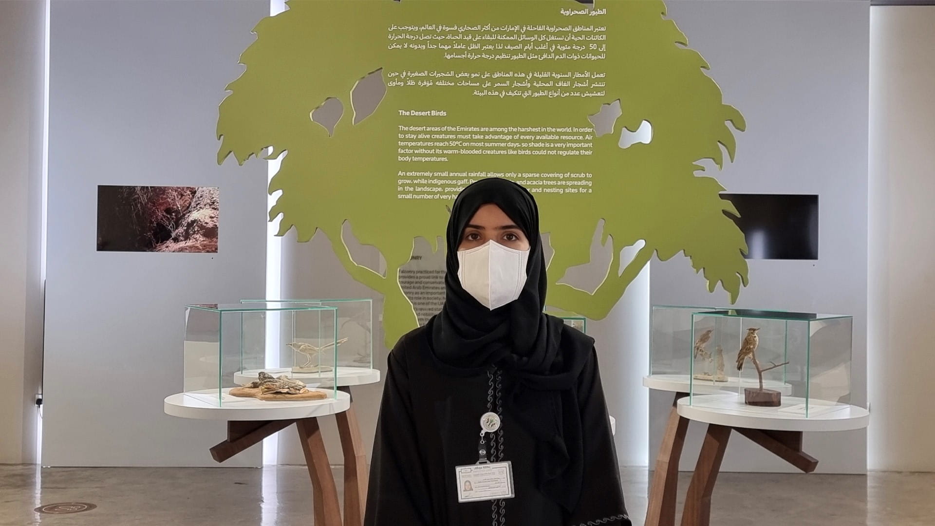 Image for the title: Al Dhaid Wildlife Centre raises environmental awareness 