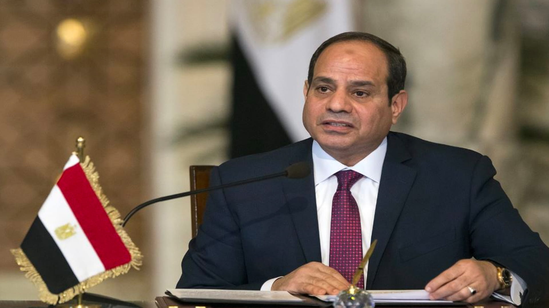 Image for the title: Egyptian President calls on community to support green recovery 