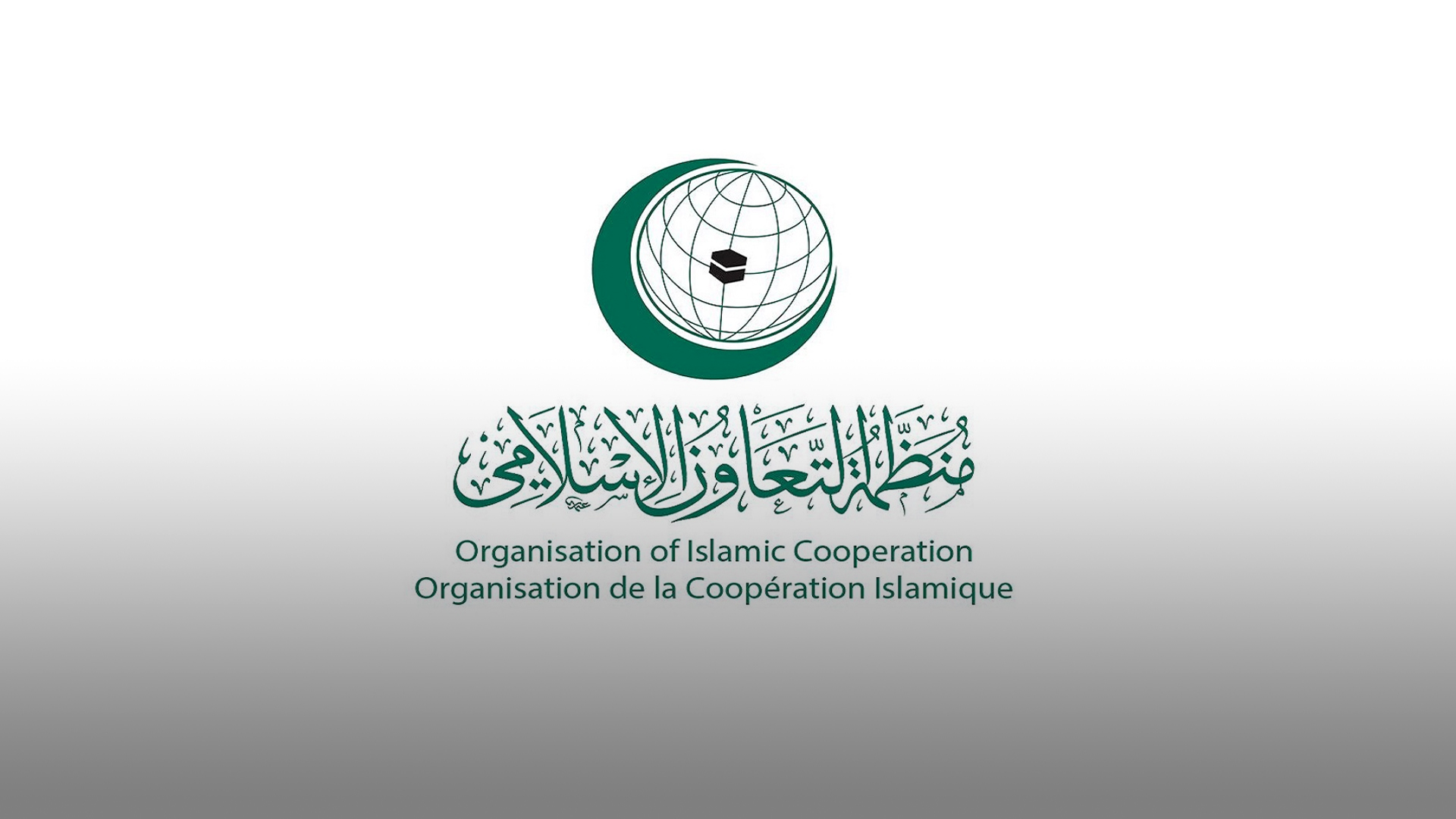 Image for the title: OIC, Palestine discuss Israeli escalation in Al-Aqsa Mosque 