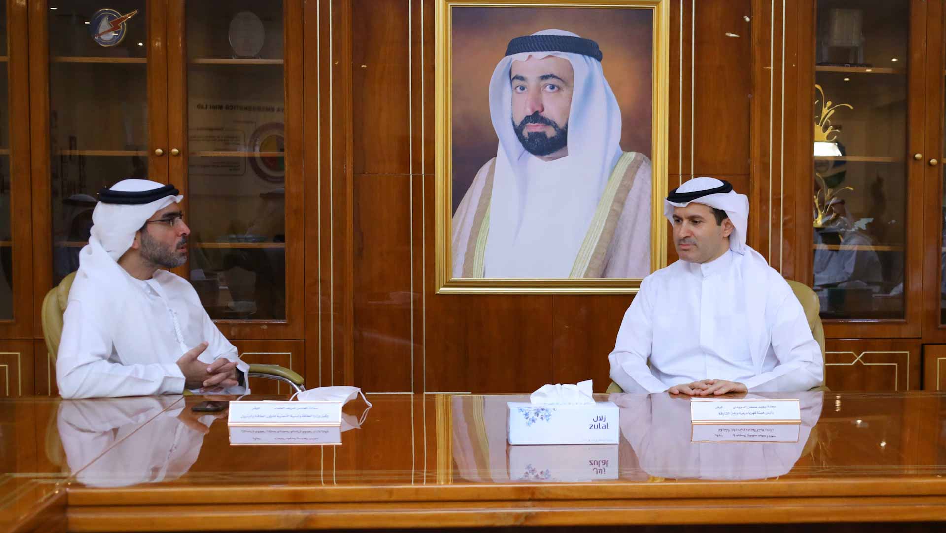 Image for the title: SEWA discusses with MoE developments work in transmission lines