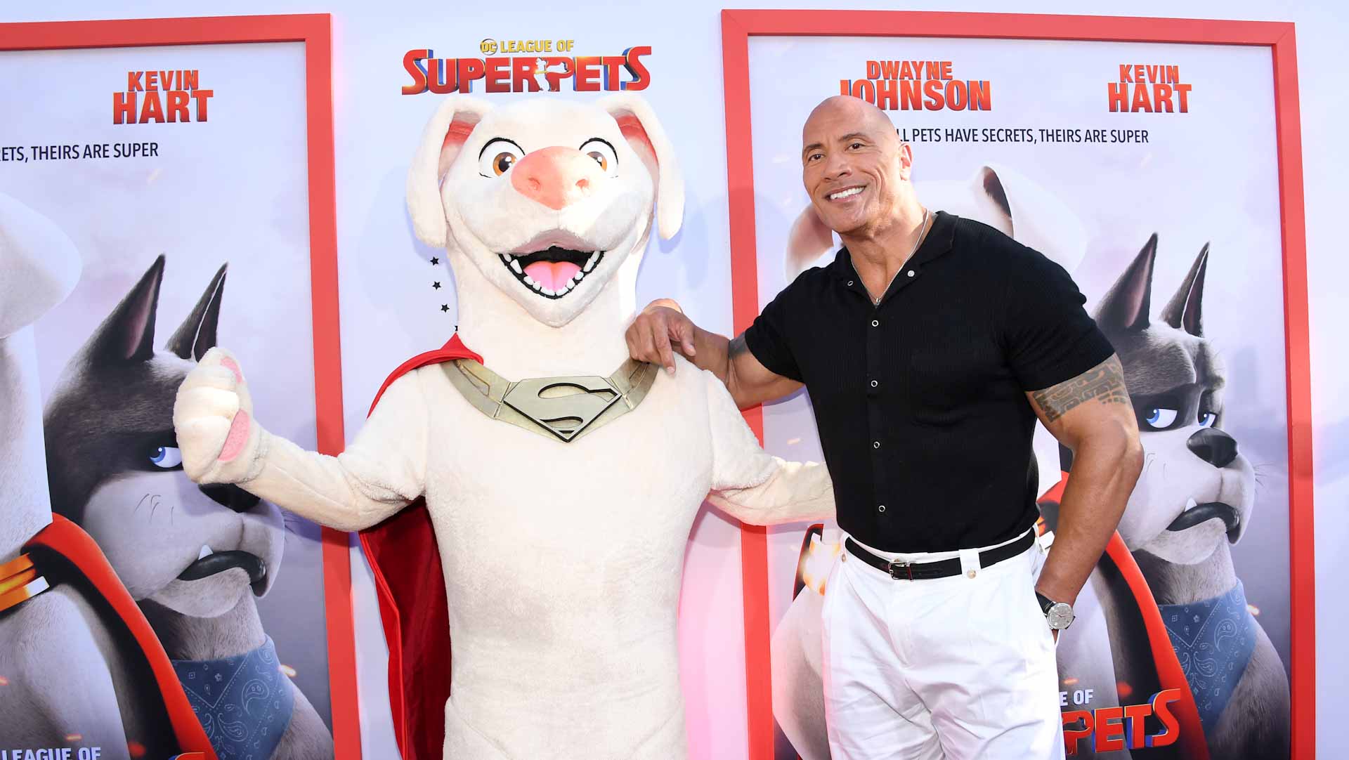 Image for the title: DC's 'Super-Pets' tops N.America box office 