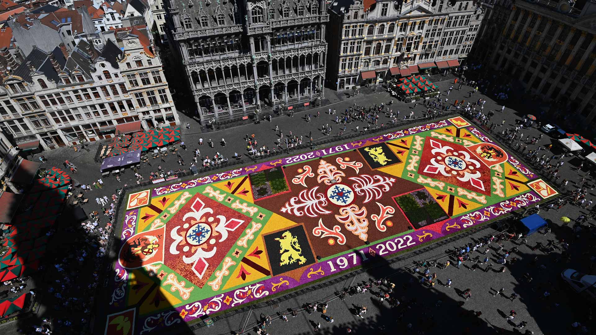 Image for the title: Flower Carpet festival opens in Brussels amid heat wave 