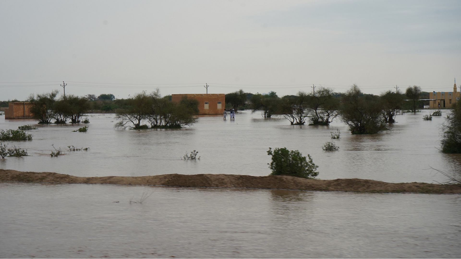 Image for the title: Sudan declares State of Emergency due to rain, floods in 6 states 